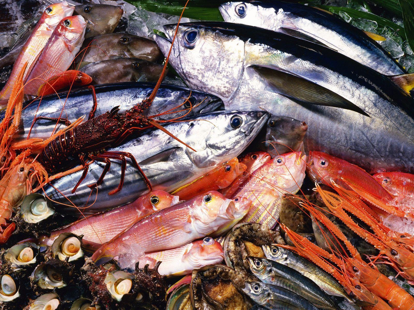 Seafood wallpaper and image, picture, photo