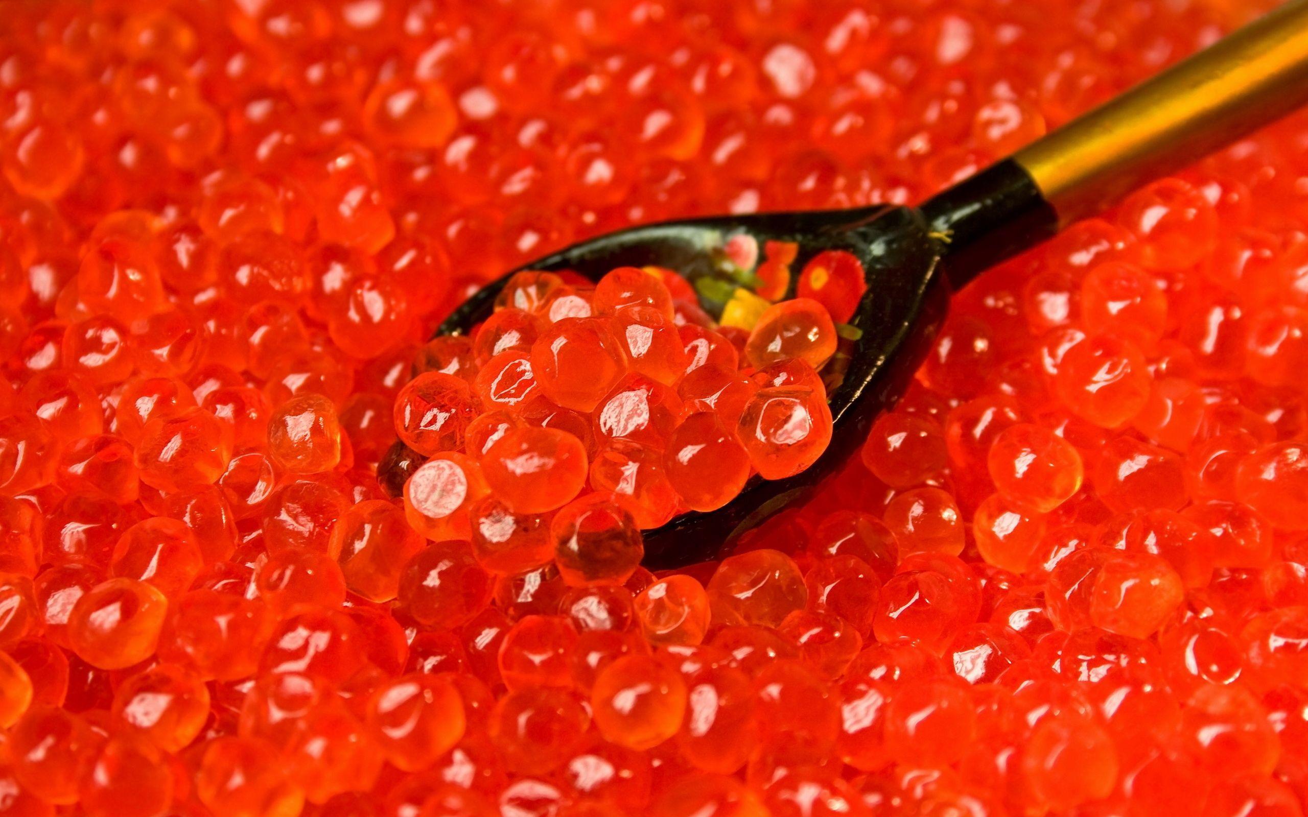 Caviar wallpaper and image, picture, photo