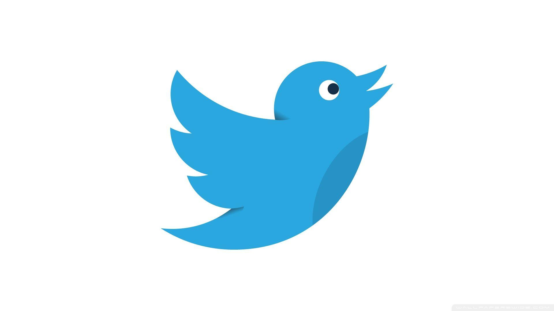 Twitter Bird Social Media HD desktop wallpaper, Widescreen, High