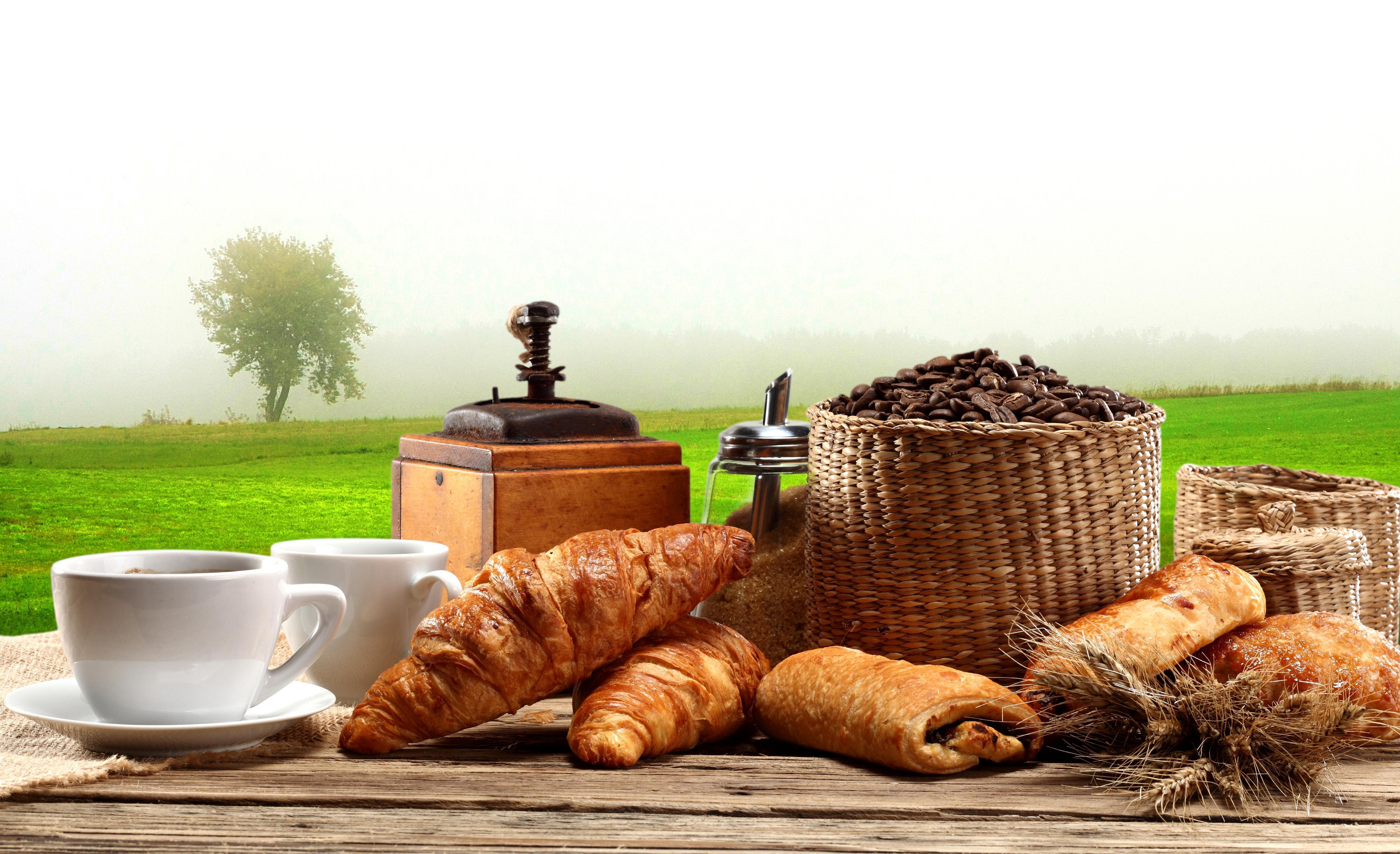 Breakfast, coffee, croissants, kiwis, oranges, food wallpaper