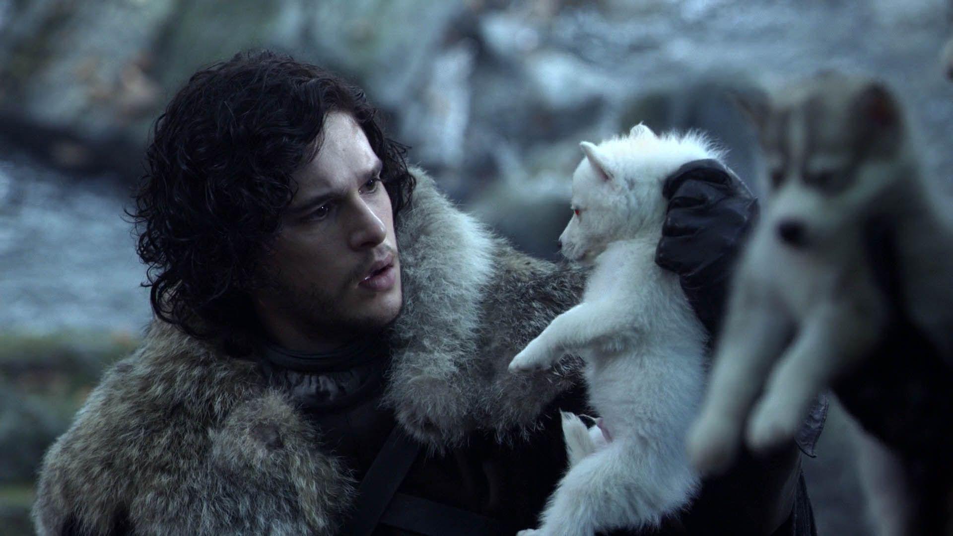 Jon Snow & Baby Wolf Of Thrones HD 16 9