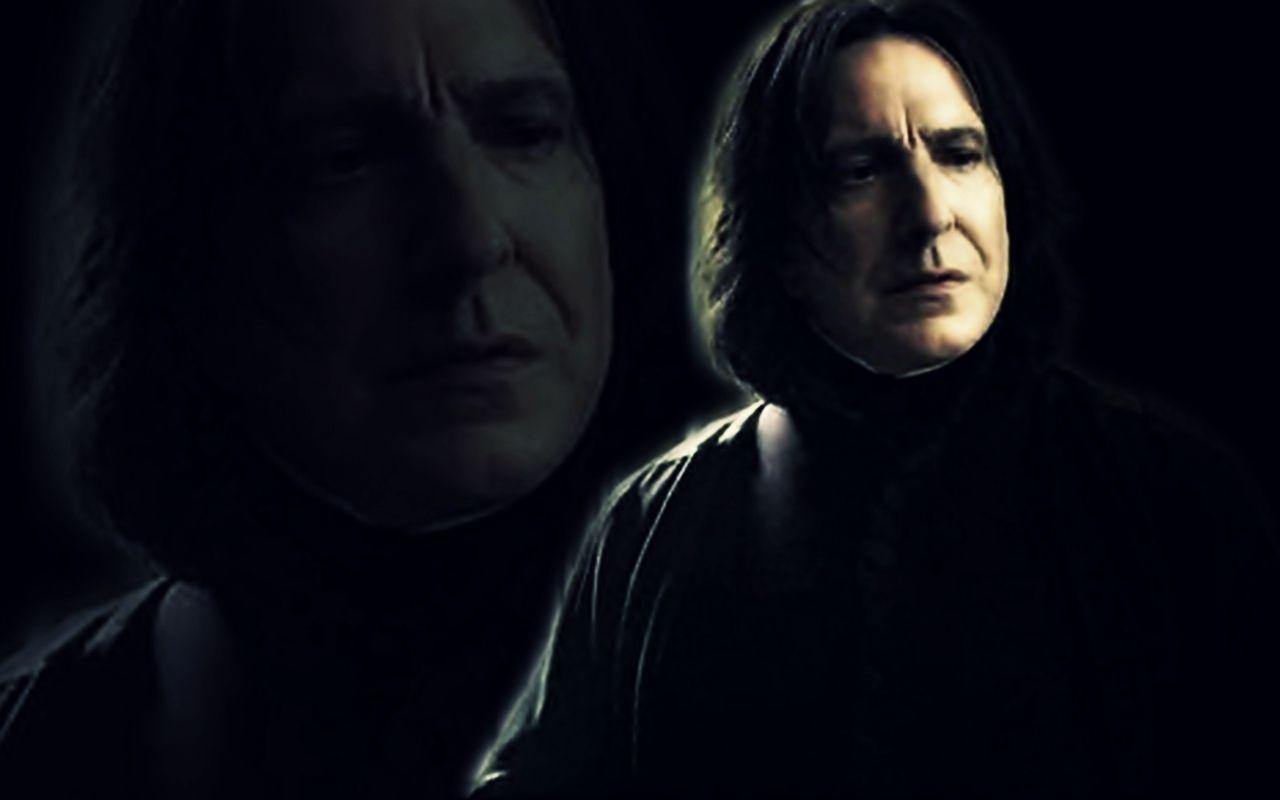 harry potter harry potter and the deathly hallows alan 