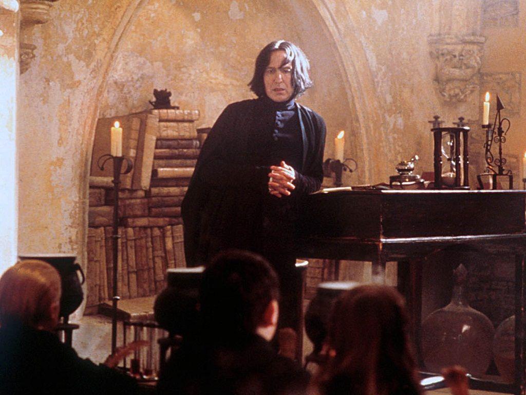 Professor Severus Snape Character. Hogwarts Professors Severus