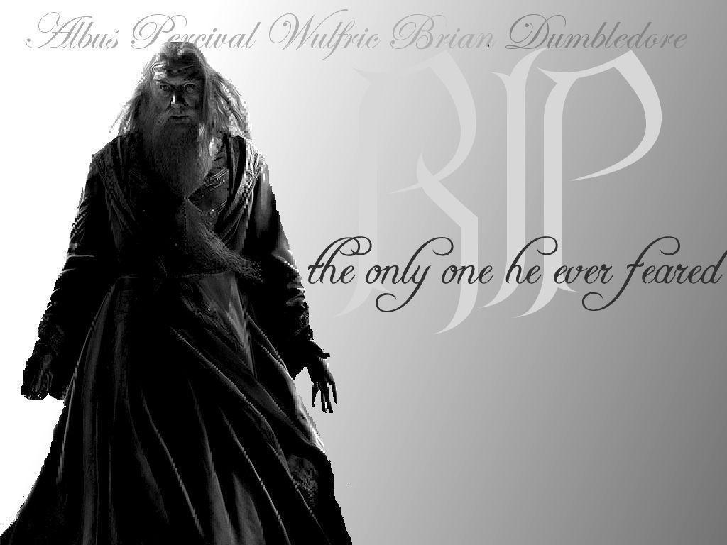 Albus Dumbledore  Hogwarts Professors Wallpaper 7621730  Fanpop