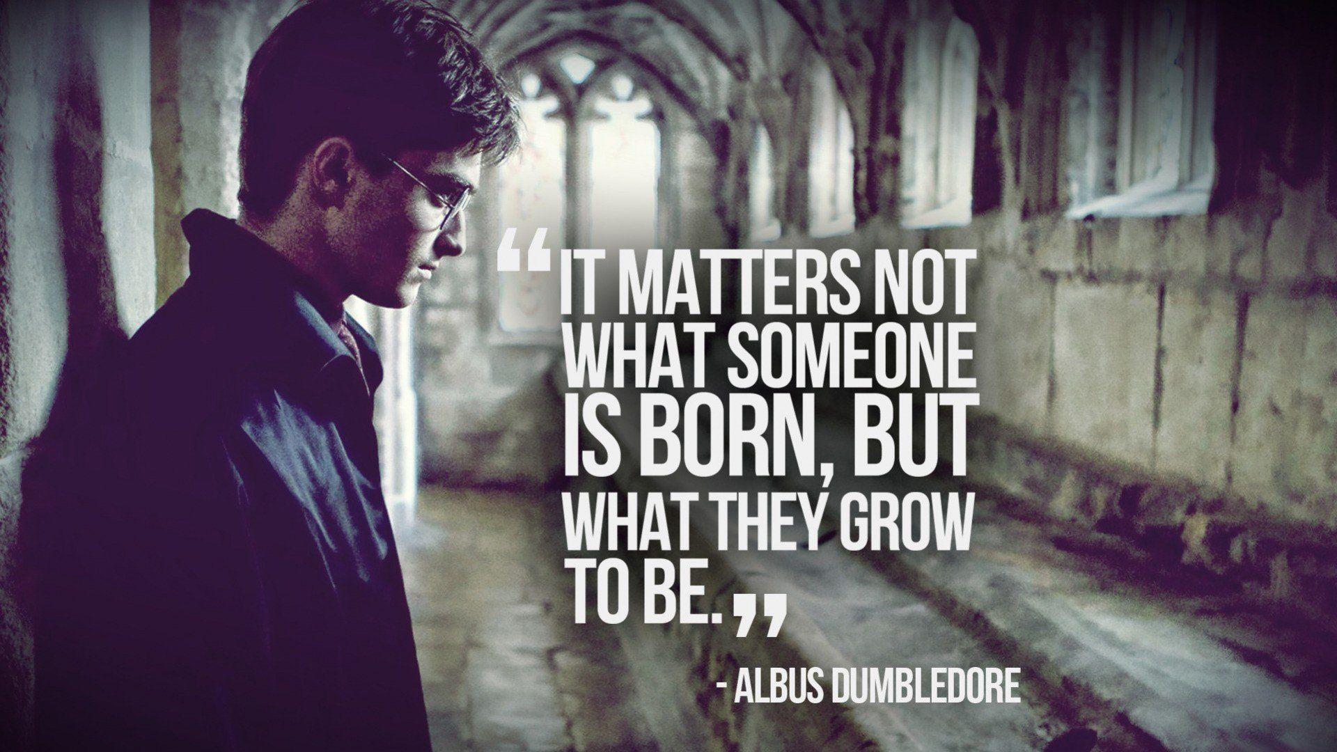 Quotes Harry Potter Daniel Radcliffe Albus Dumbledore wallpapers