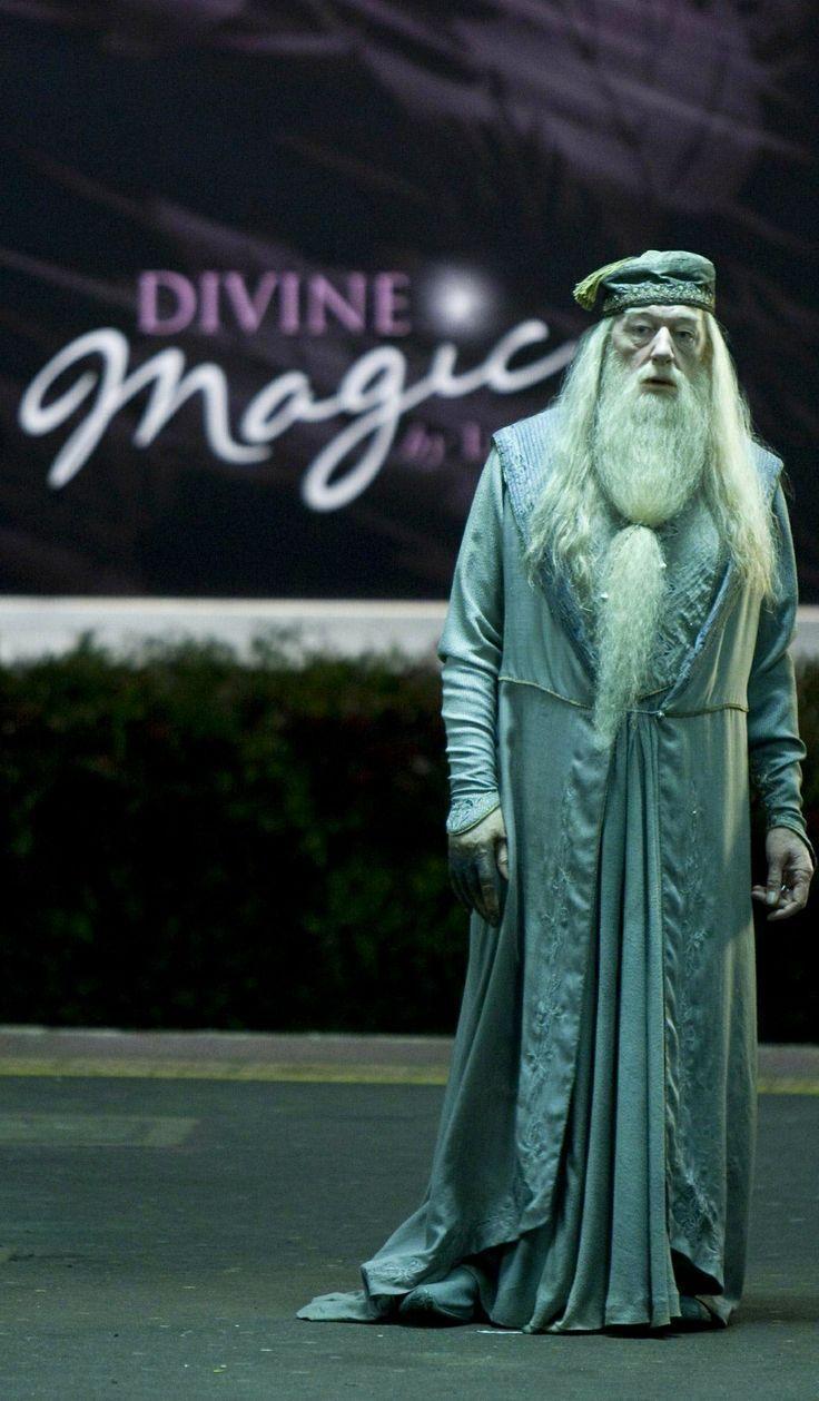 17 best ideas about Dumbledore Costume