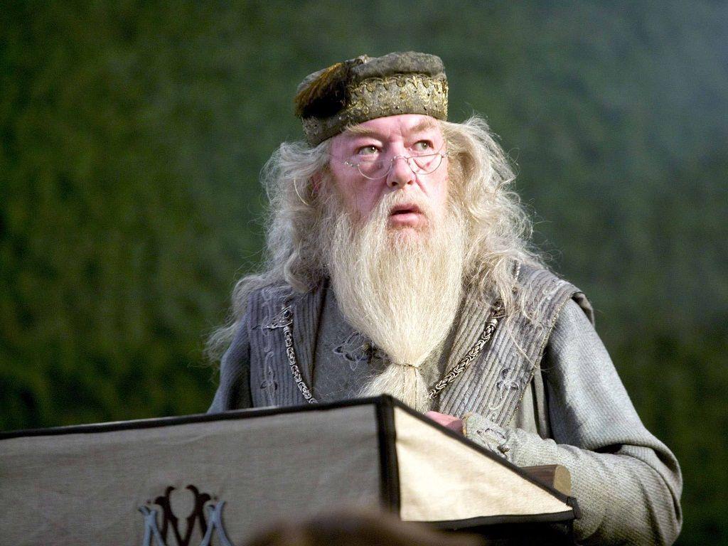 Dumbledore Painting Harry Potter