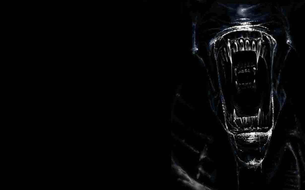 Alien Xenomorph Wallpaper 4539