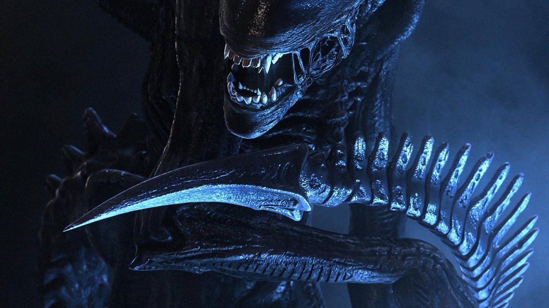Xenomorph HD Wallpaper and Background Image
