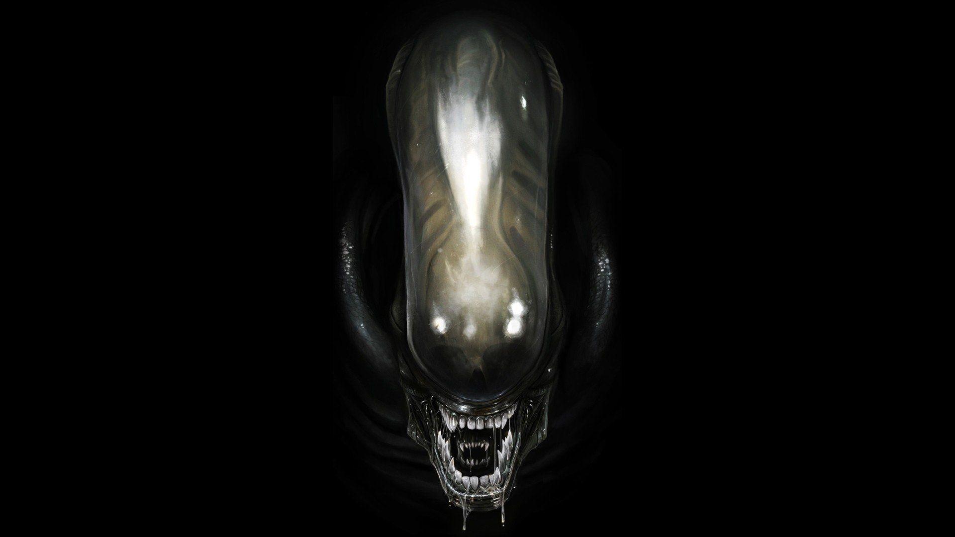 Xenomorph Alien Desktop Wallpaper