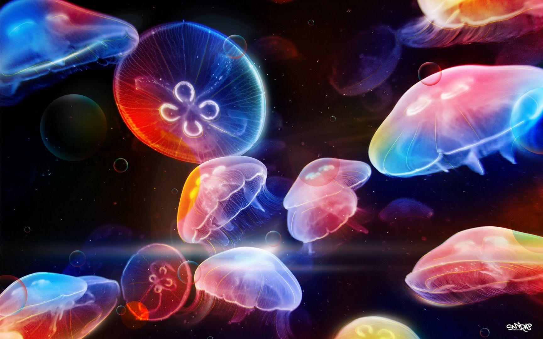 Jellyfish Dancing Underwater HD Wallpaper FullHDWpp HD