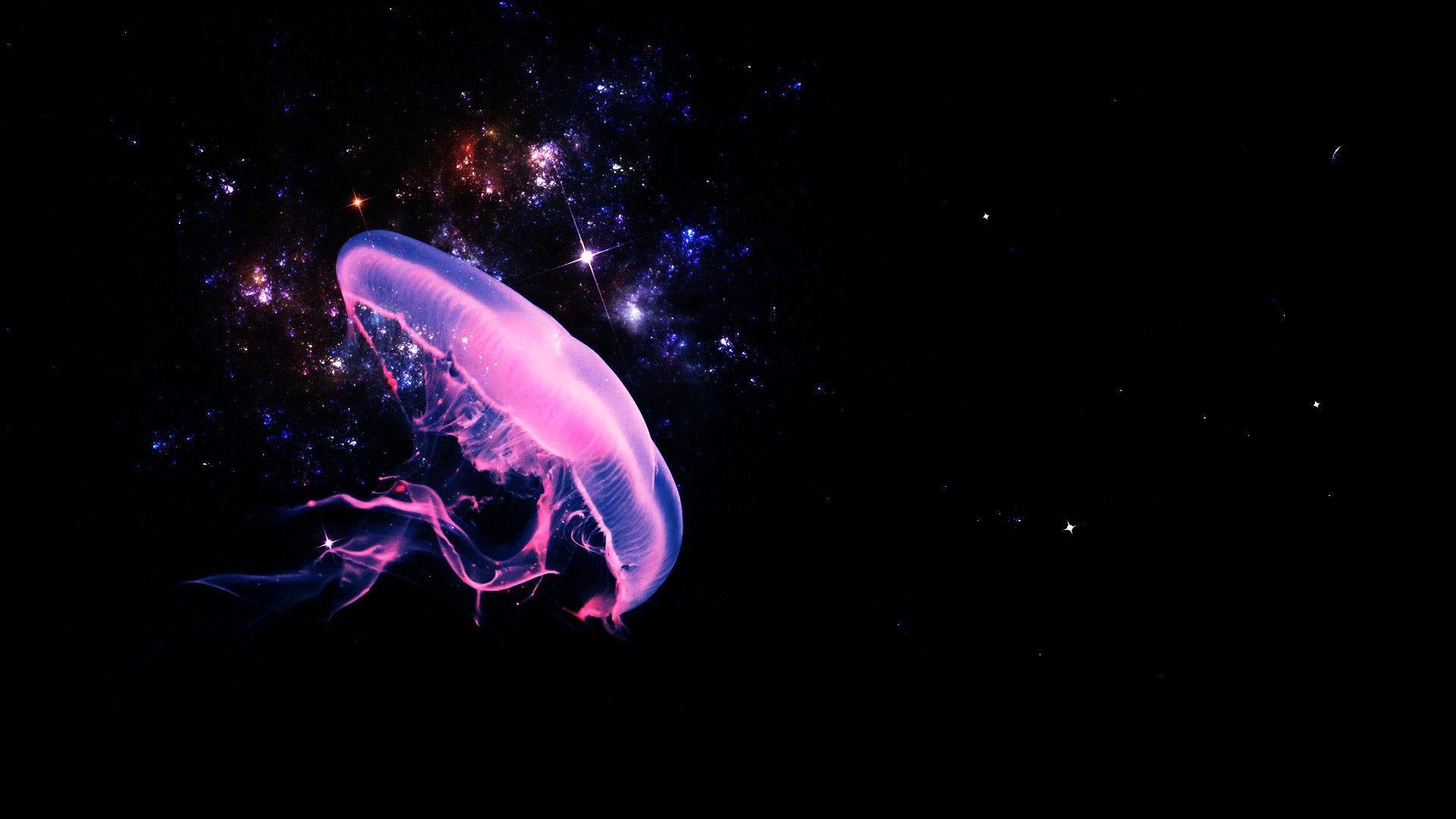  Glowing  Jellyfish Wallpapers  Wallpaper  Cave