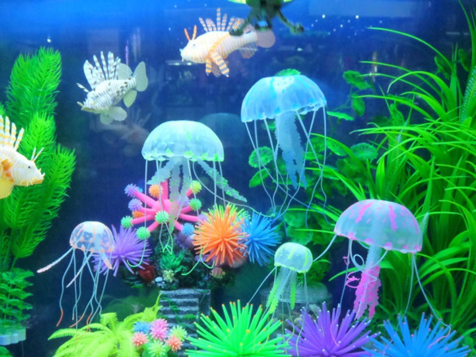 Glowing Jellyfish Wallpaper