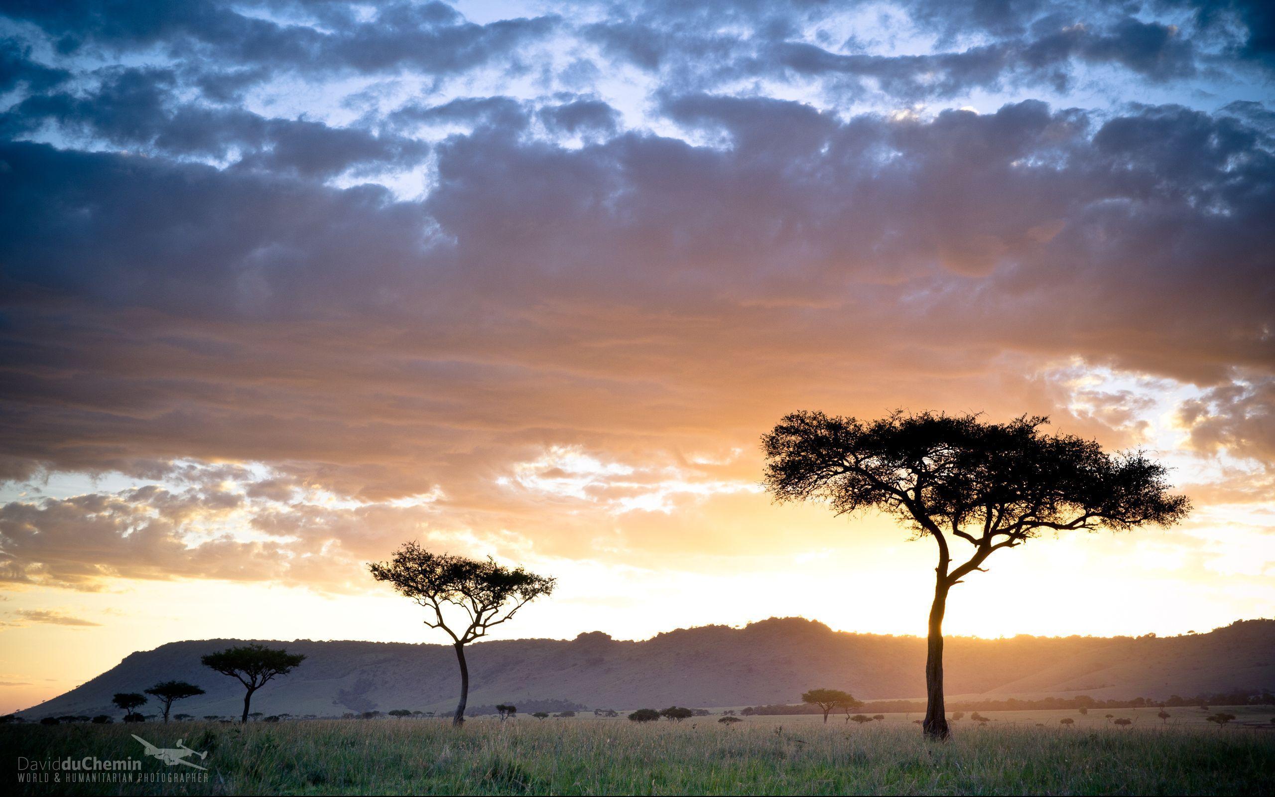 Postcard & Wallpaper from Kenya. David duChemin