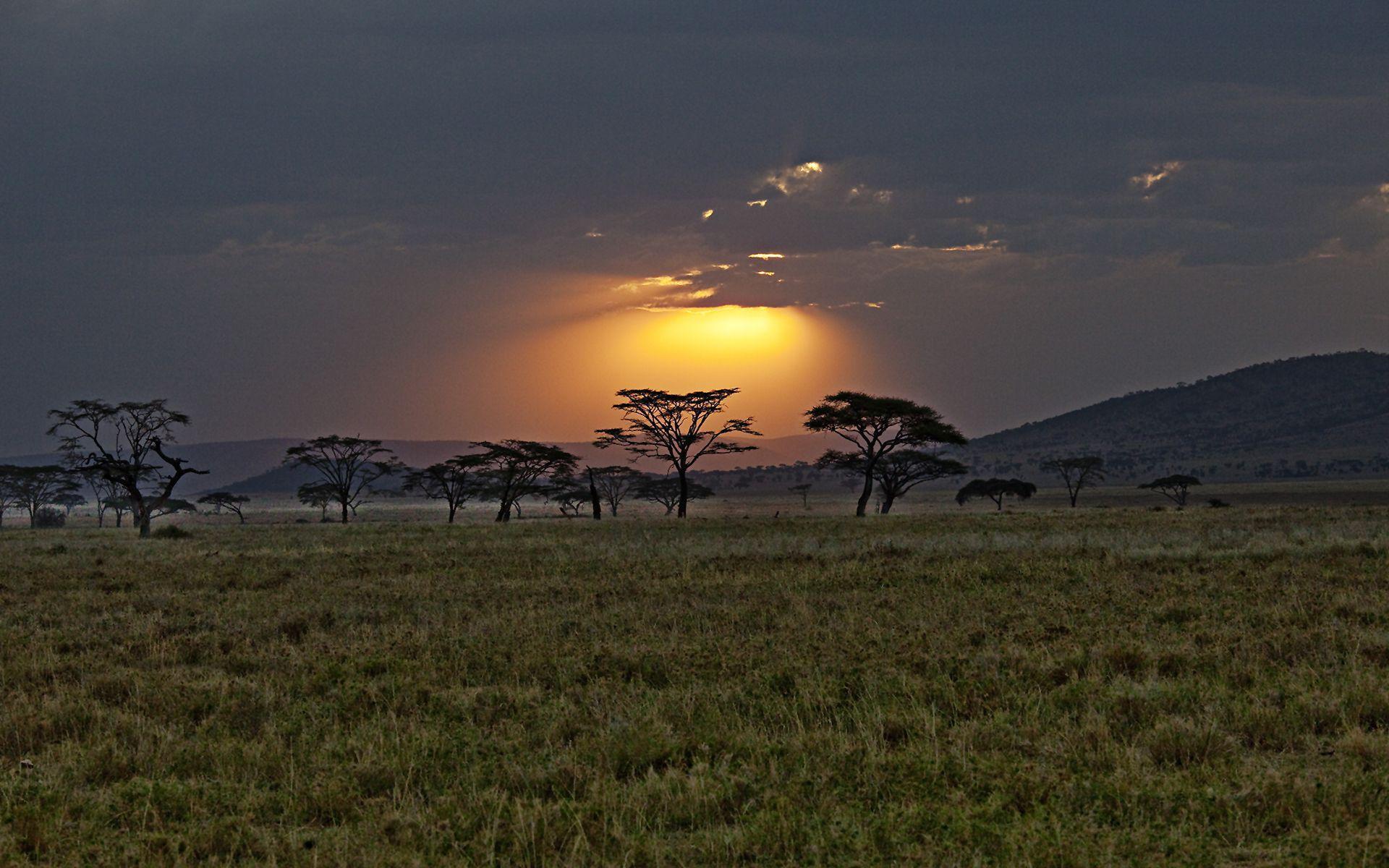 Sunset kenya africa Wallpaper