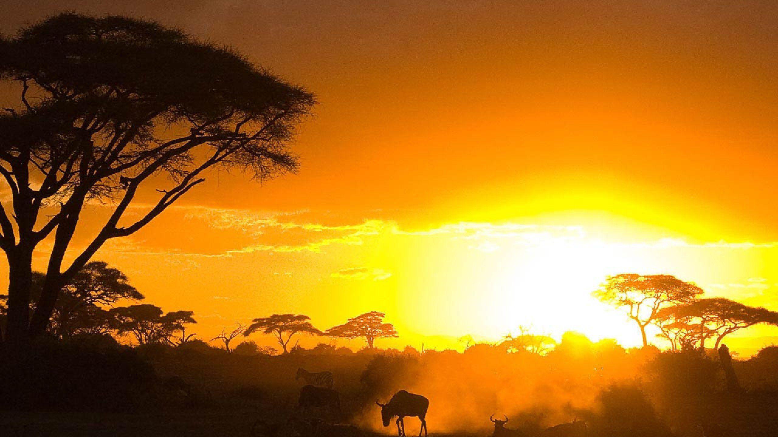 Kenya Sunset Wallpaper