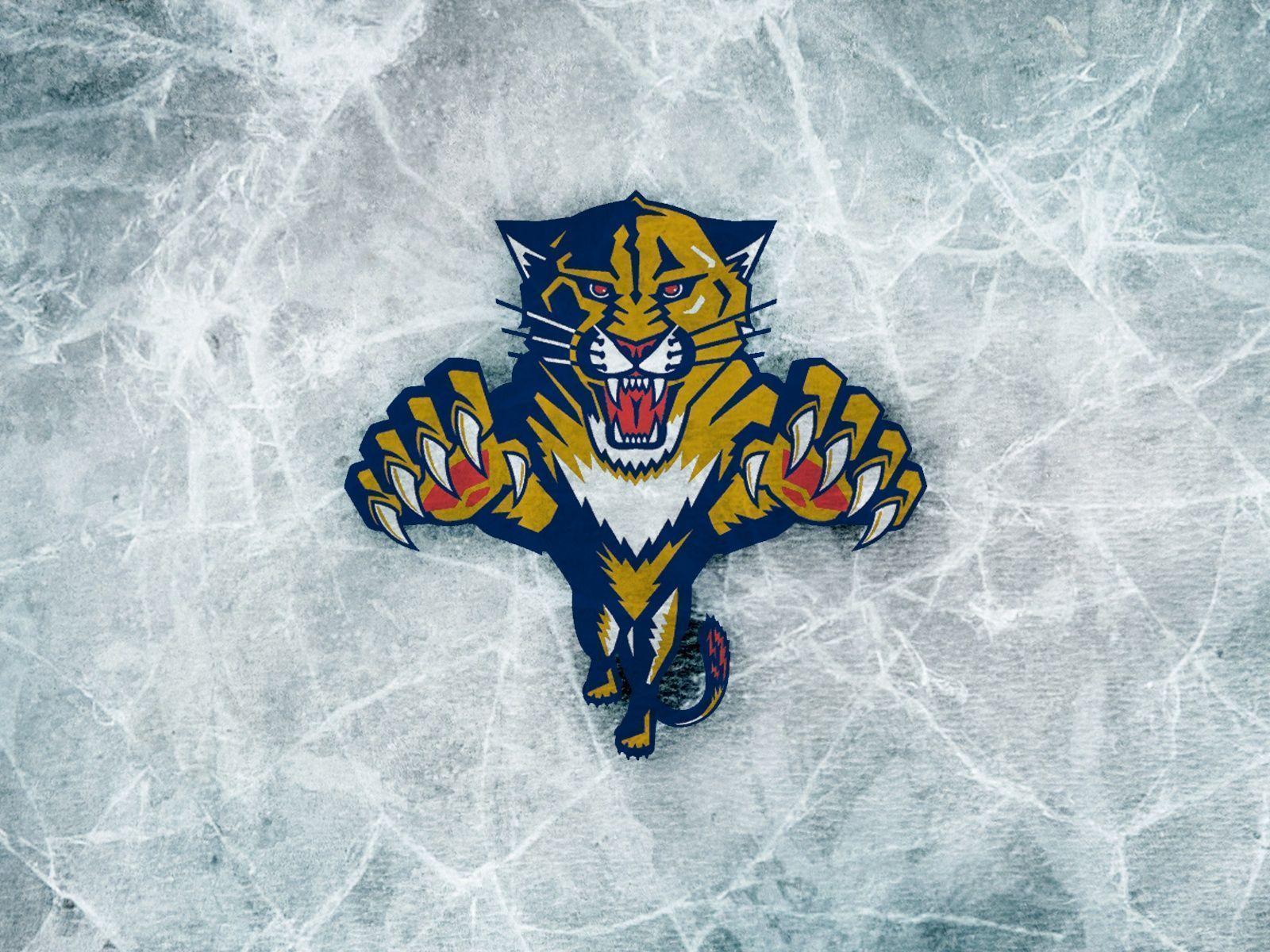Florida Panthers Background Free Download