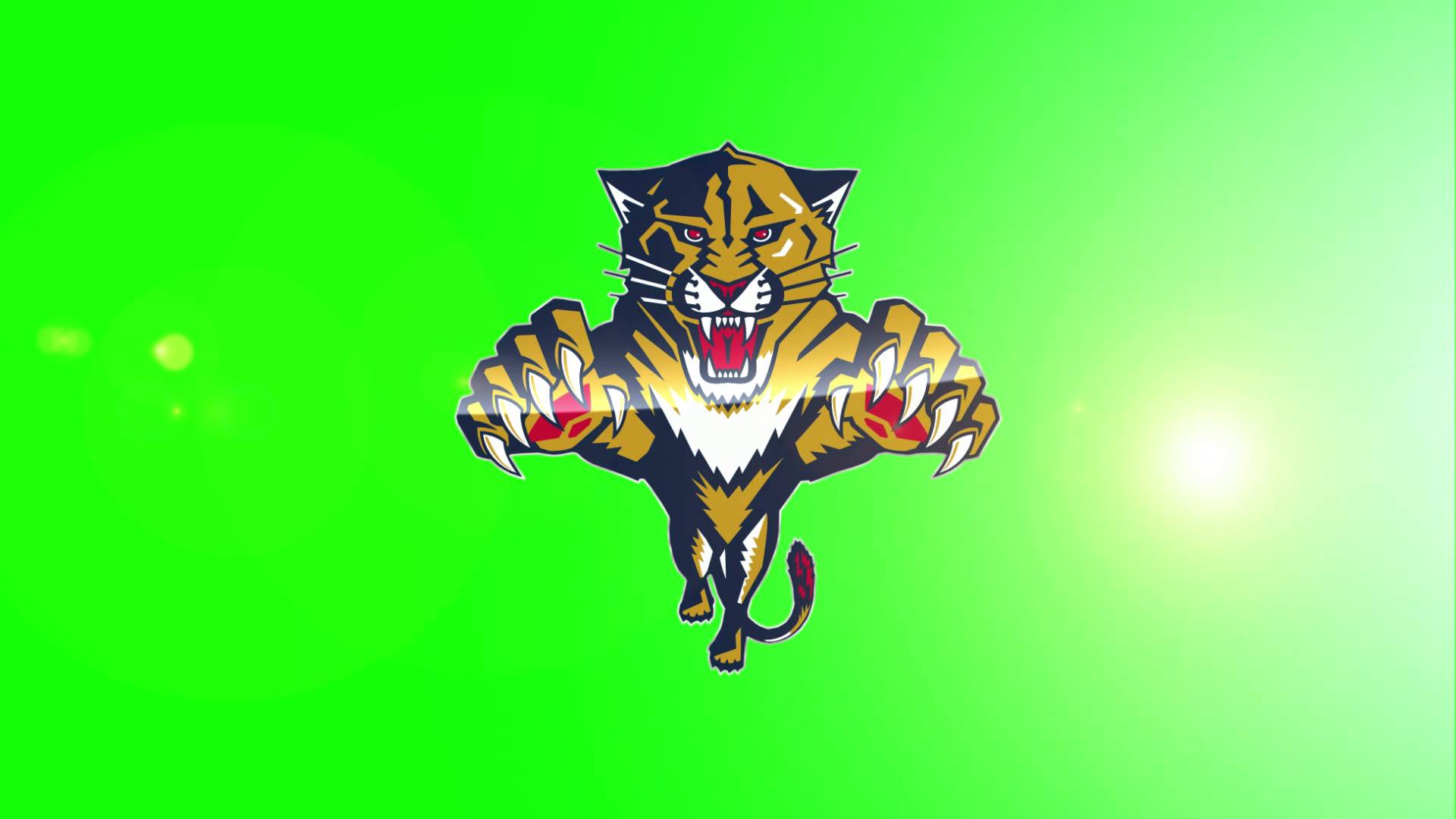 Florida Panthers Background Free Download