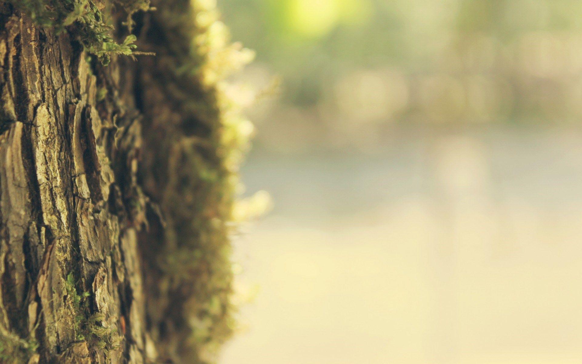 Nature s HD wallpaperx1080