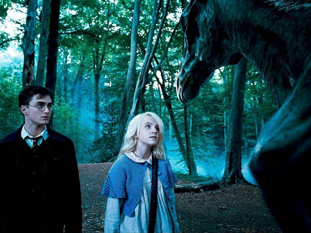 Shelter from the Storm: Luna Lovegood