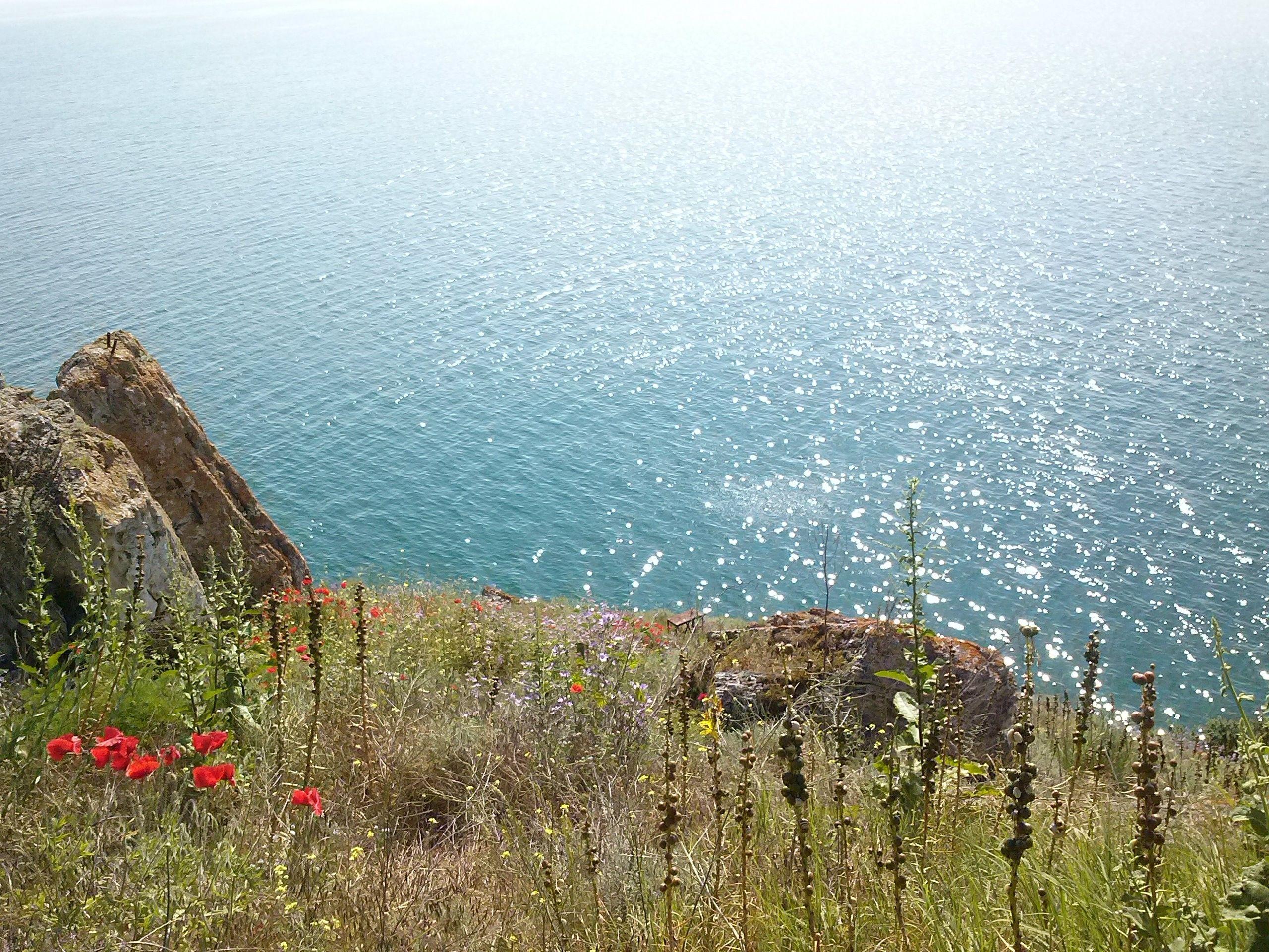 nature, Landscape, Bulgaria, Flowers, Sea Wallpaper HD / Desktop