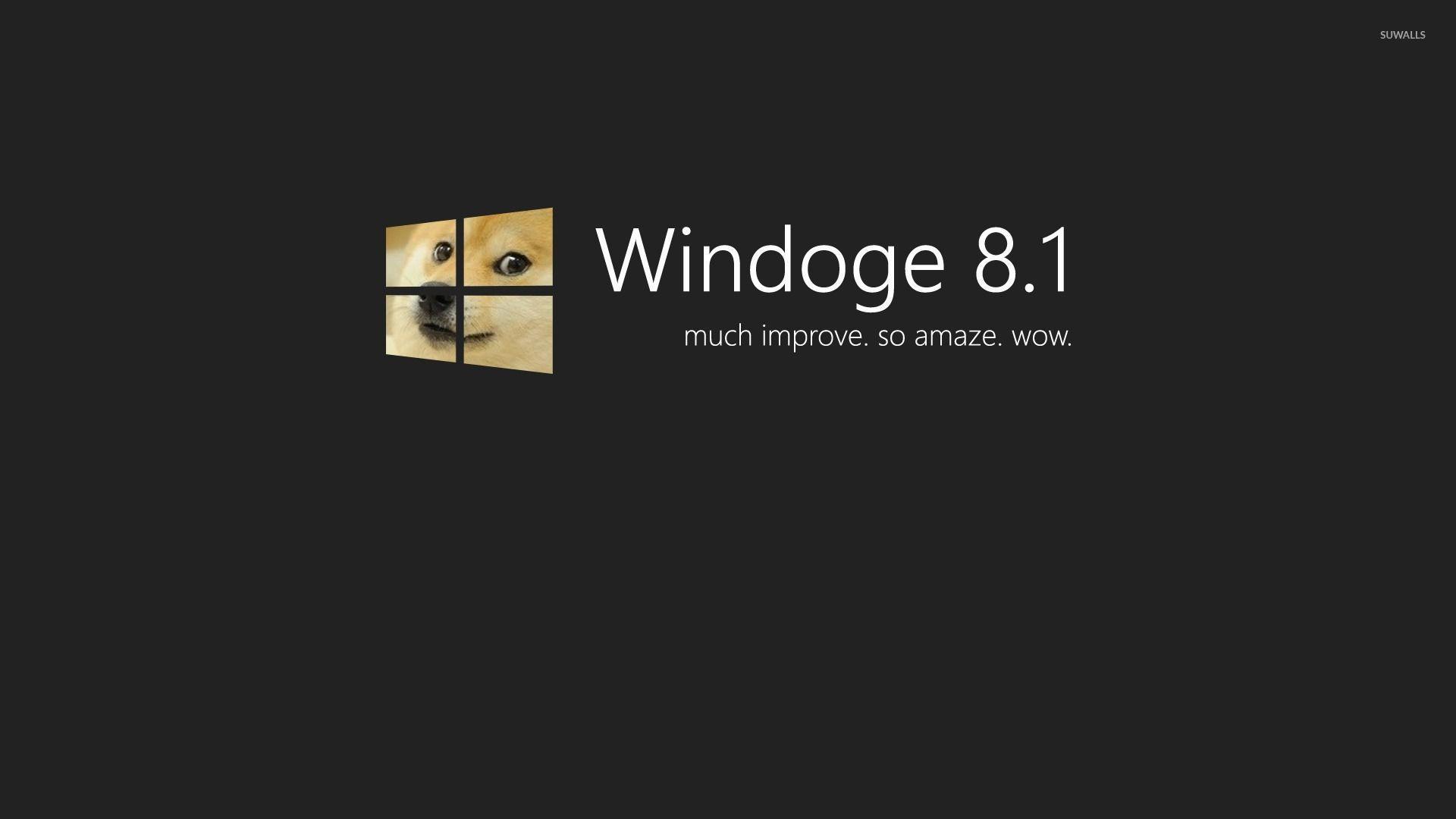 Doge Windows 8.1 wallpaper wallpaper