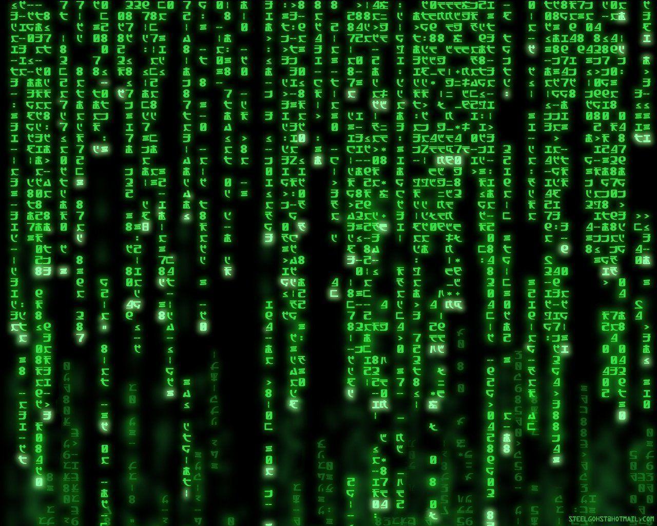 The Matrix HD Wallpaper and Background Image