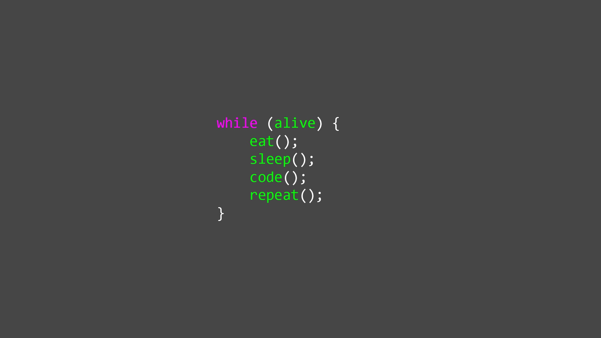 Programmer Wallpaper