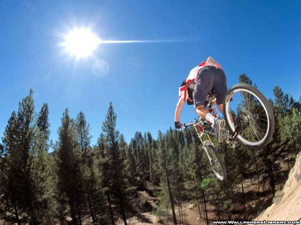 best image about Mountain Bike. Free