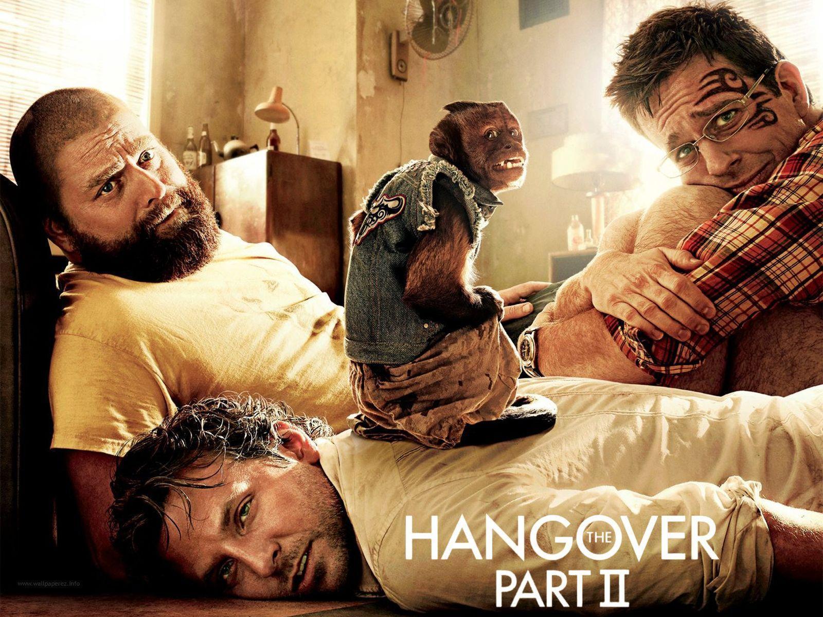 Wallpaper Tagged With HANGOVER. HANGOVER HD Wallpaper