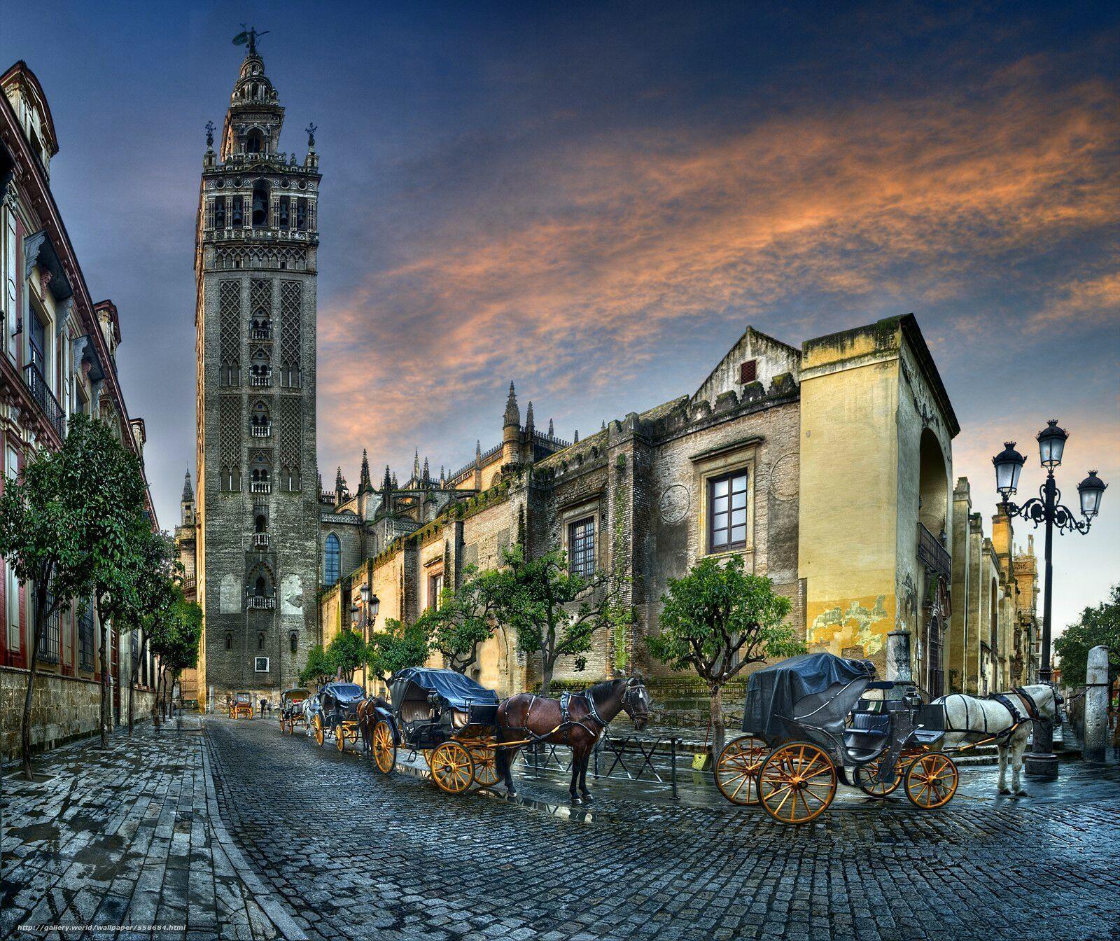 Download wallpaper Cathedral and the Giralda in Seville, Catedral