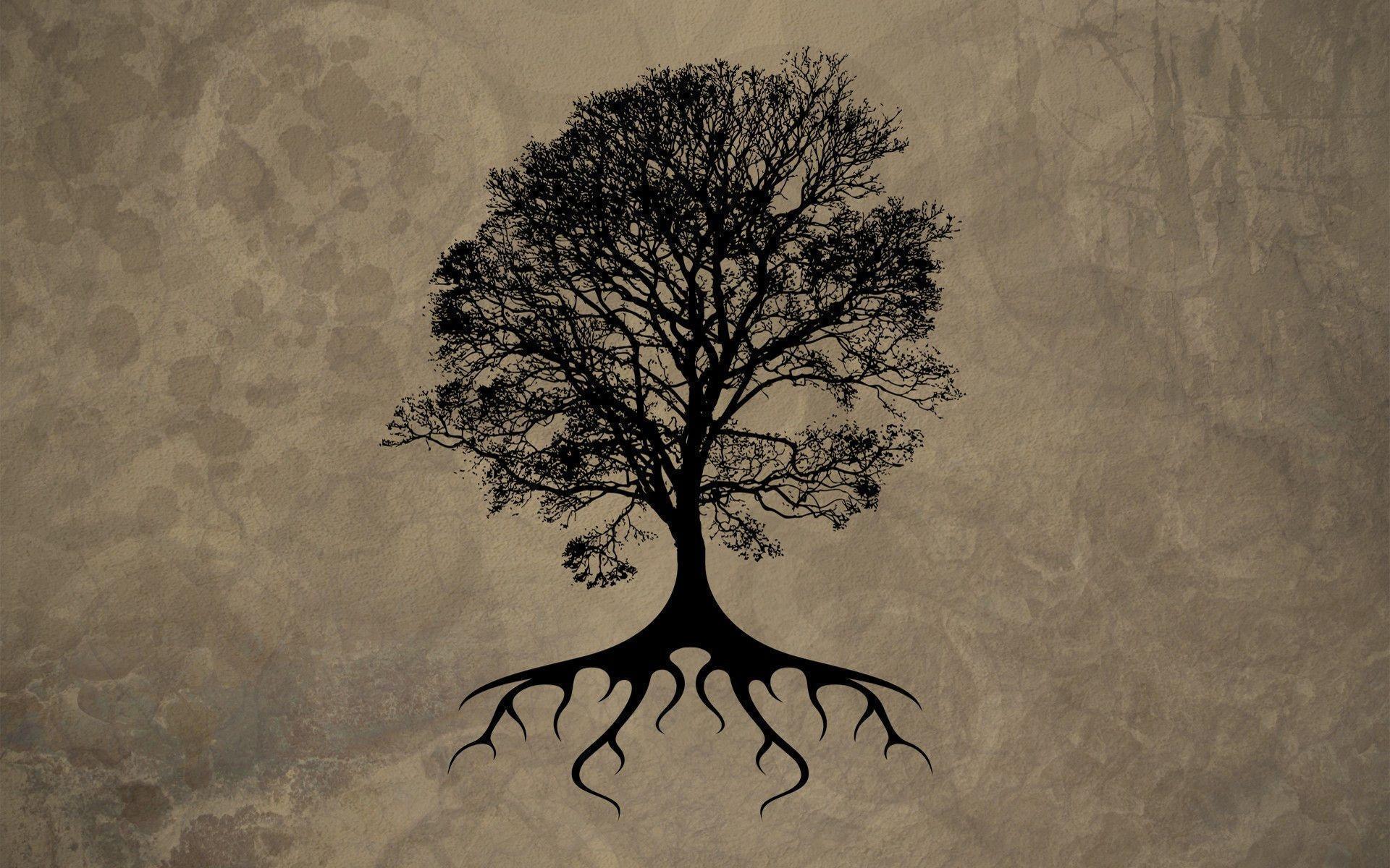 Tree Of Life Wallpapers - Wallpaper Cave