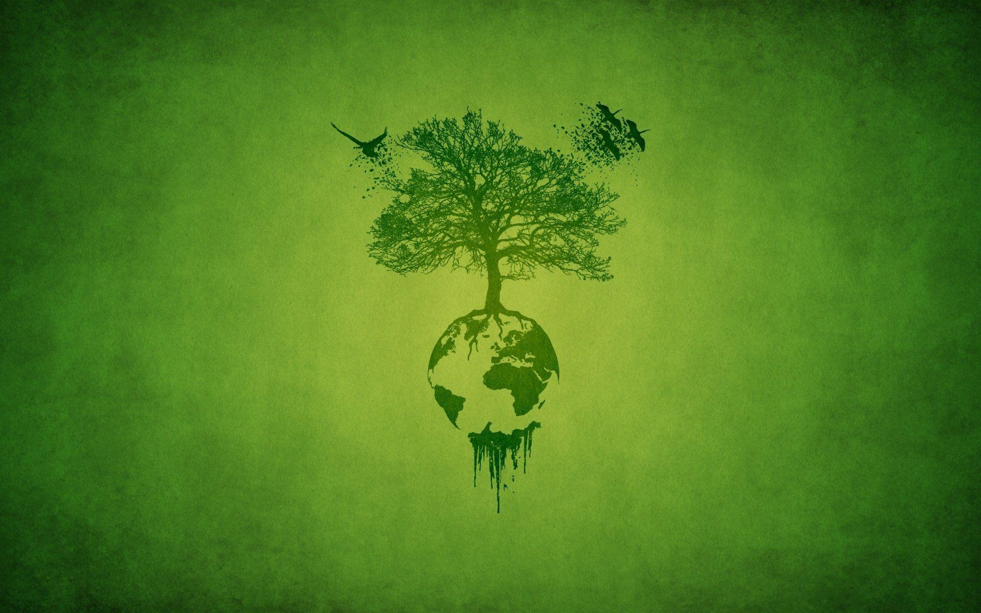 The tree of life wallpaper background