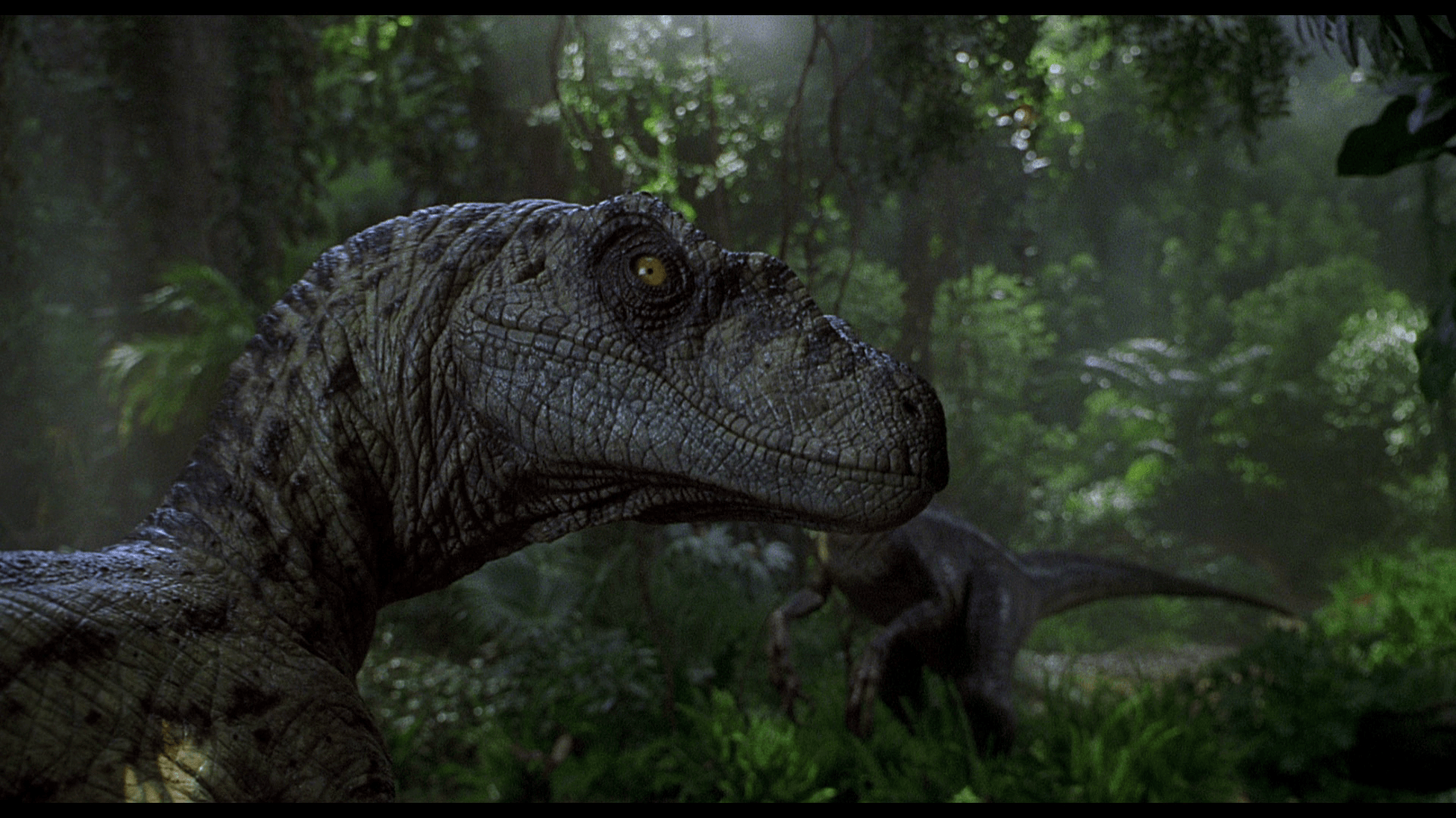 Jurassic Park III HD Wallpaper and Background Image