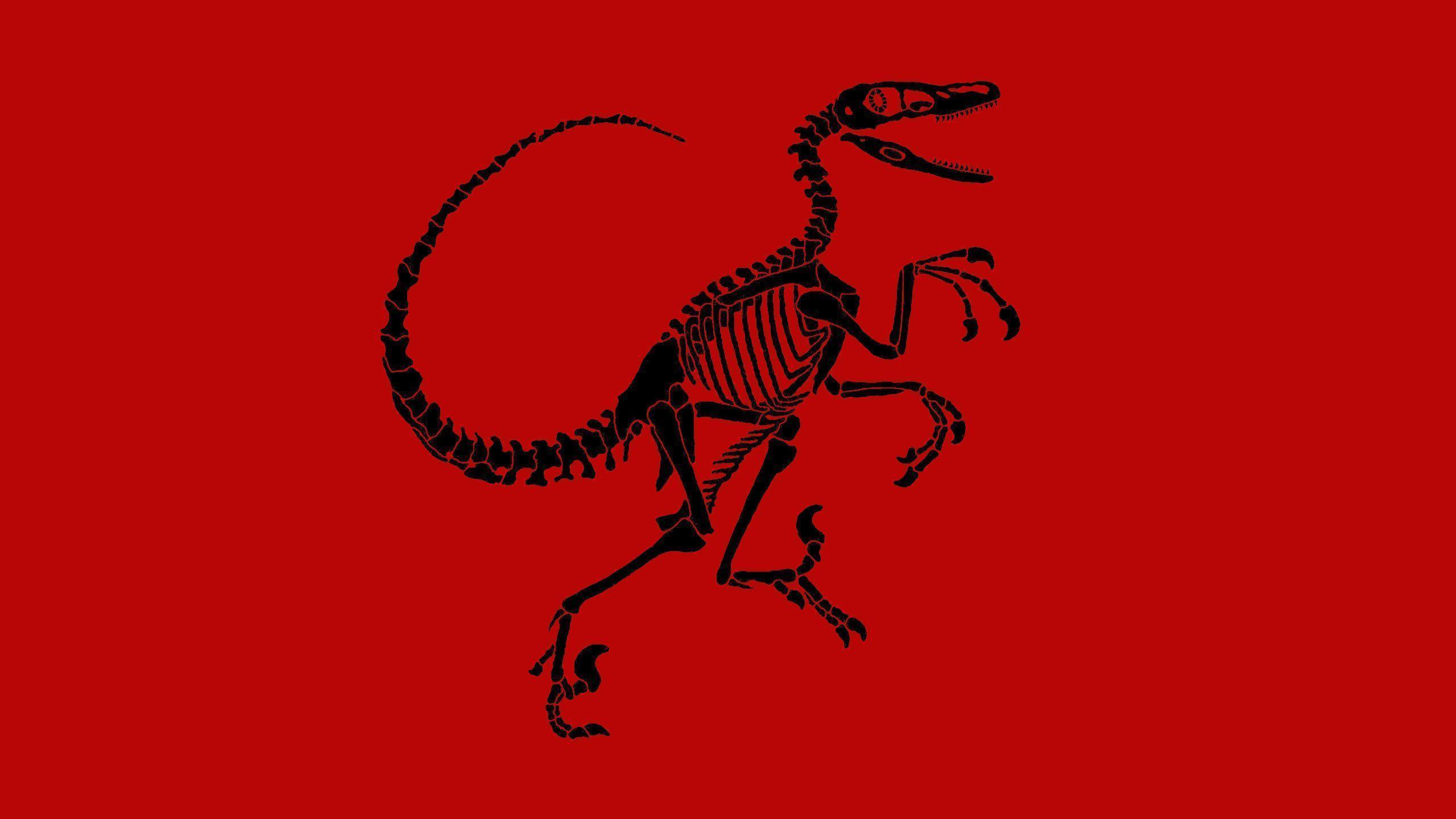 Velociraptor HD Wallpaper