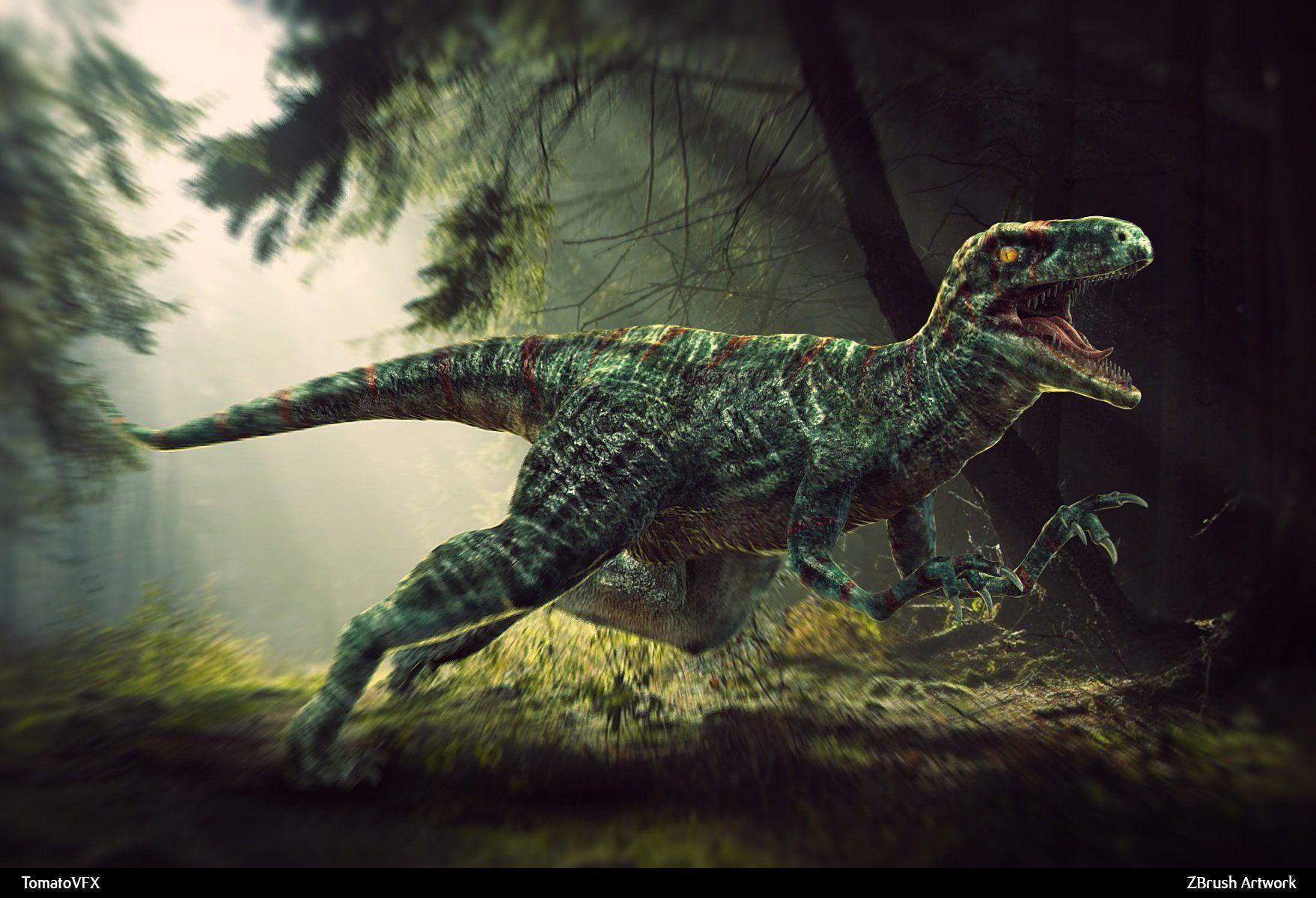 Velociraptor HD Wallpaper and Background Image