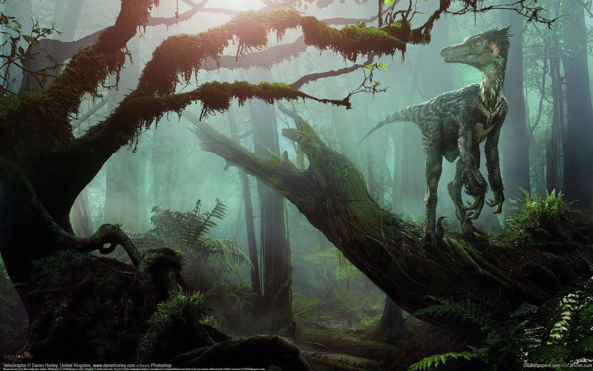 velociraptor forest dinosaur HD wallpaper