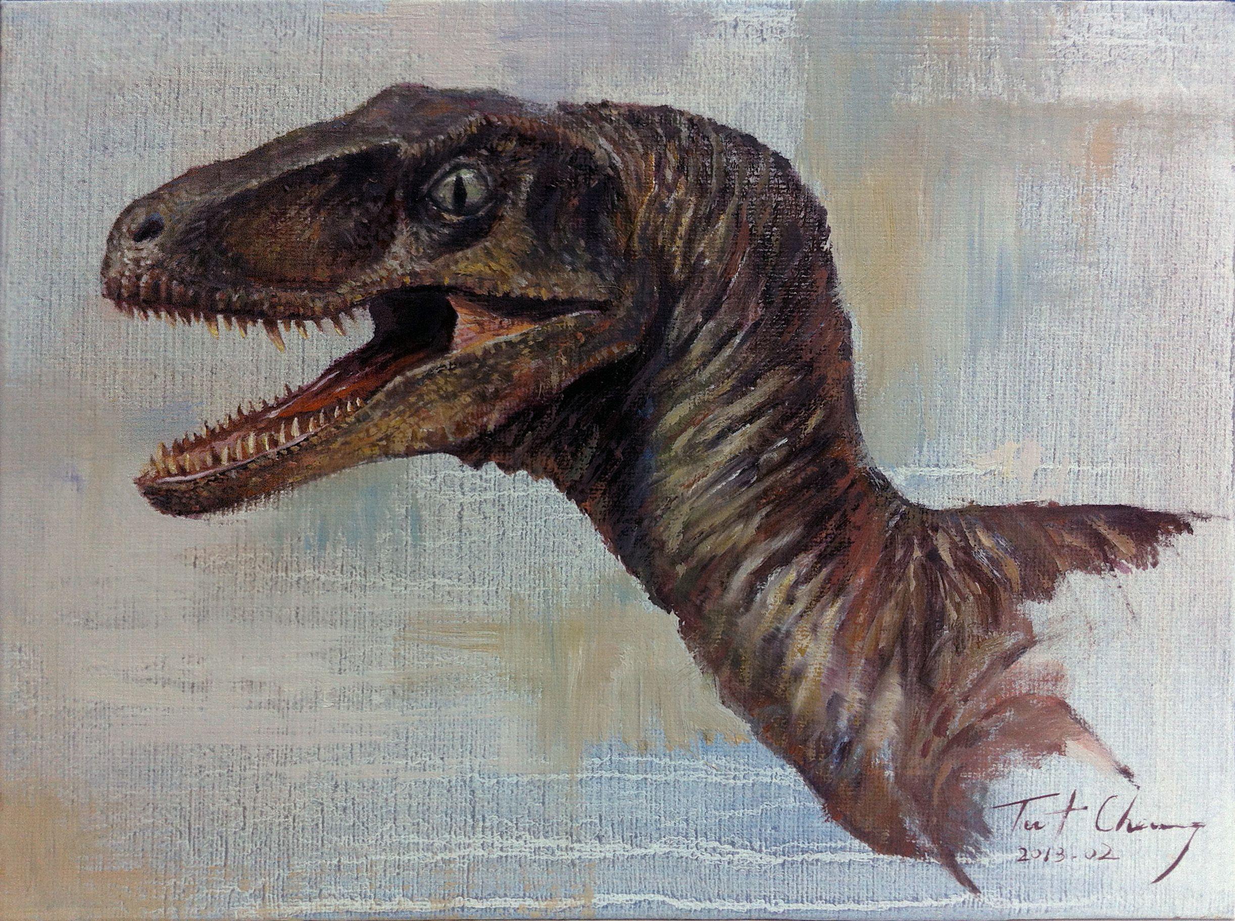 Velociraptor HD Wallpaper