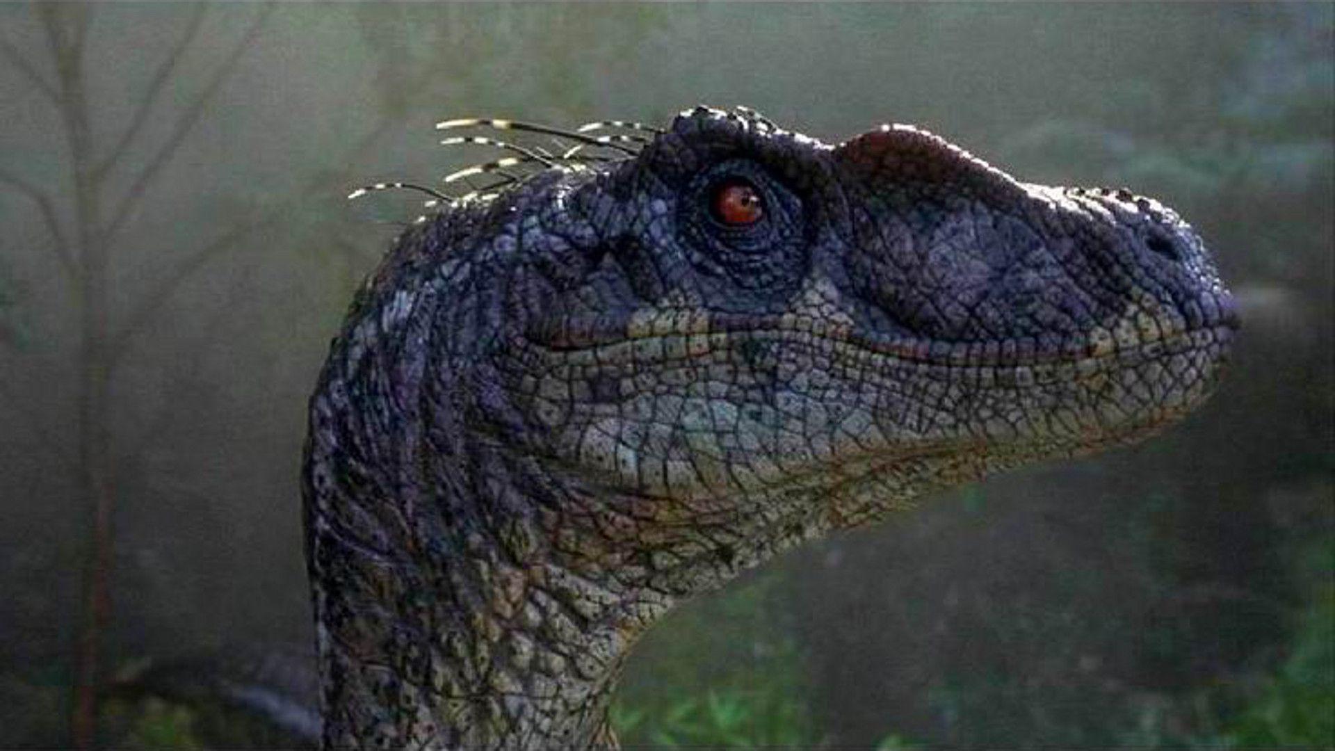 Jurassic Park III' brings the original trilogy to an end with a