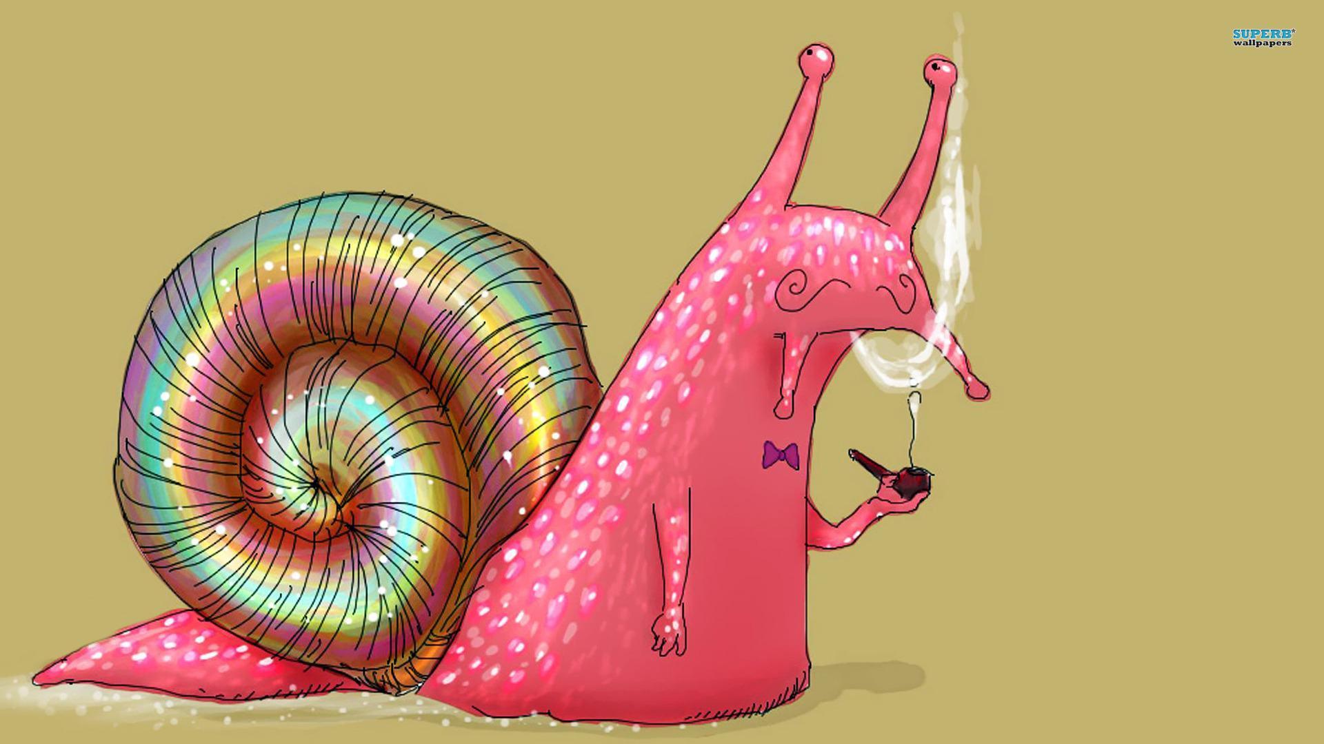 Download Free Wallpaper Background Smoking snail