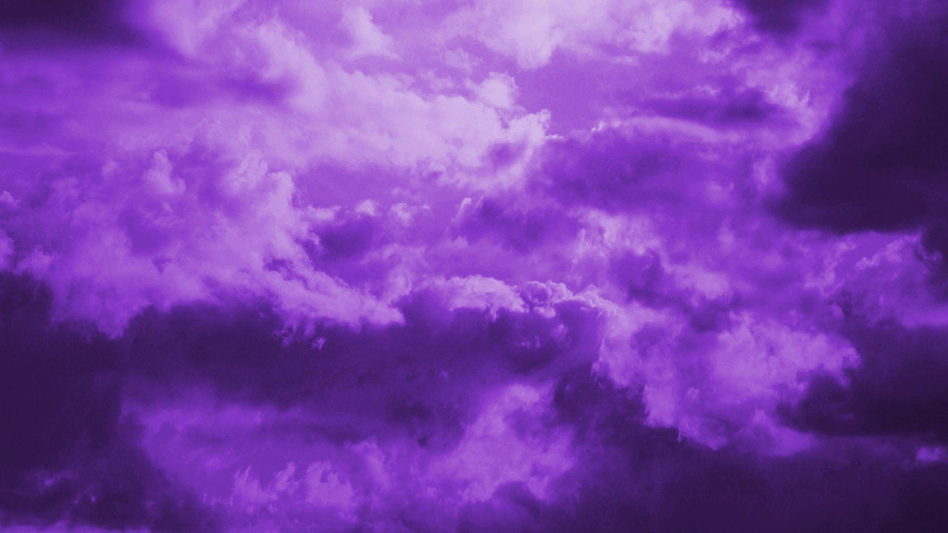 indigo color purple