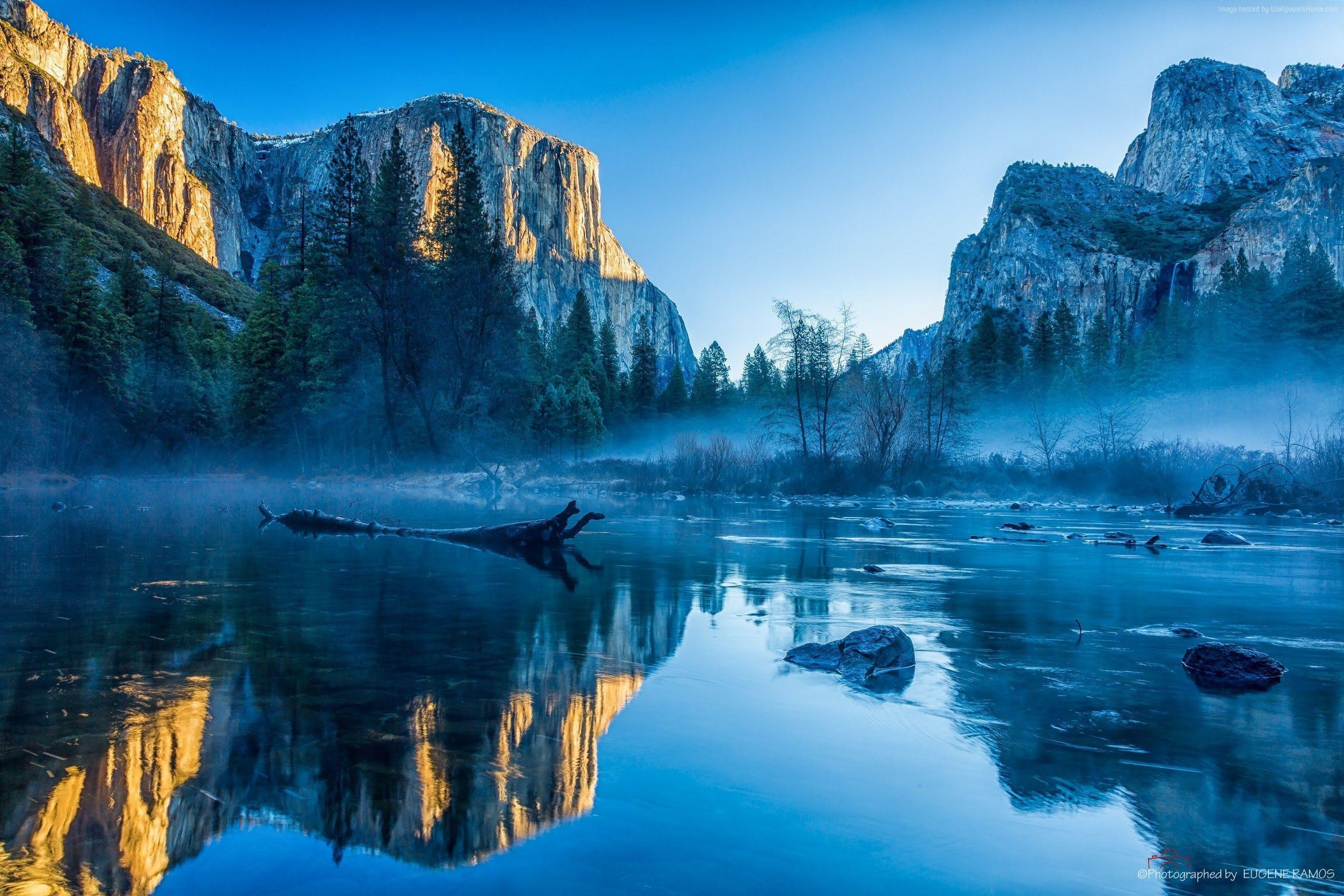 Wallpaper El Capitan, 5k, 4k wallpaper, 8k, yosemite, forest, OSX