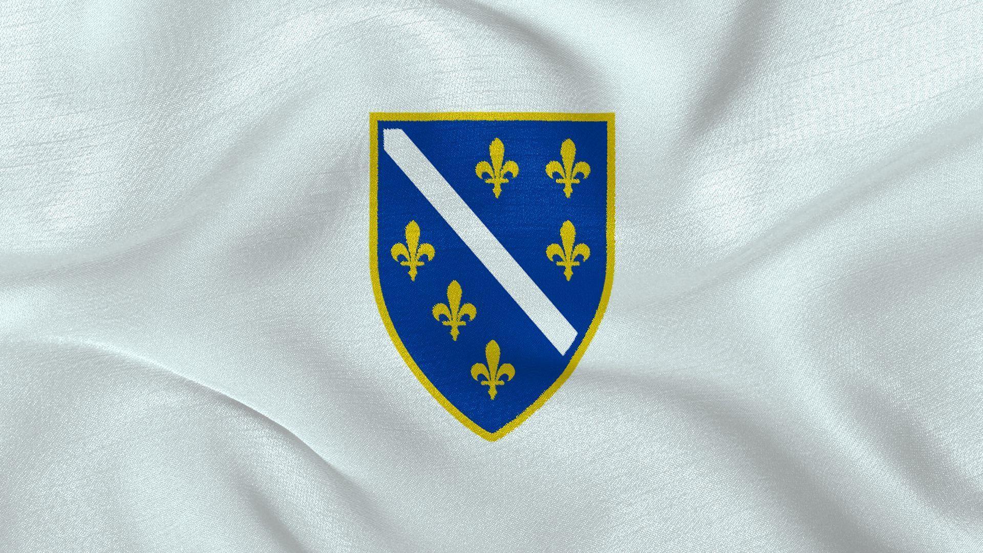 Windows 8 Bosnian Flag Logo Wallpaper (Blue)