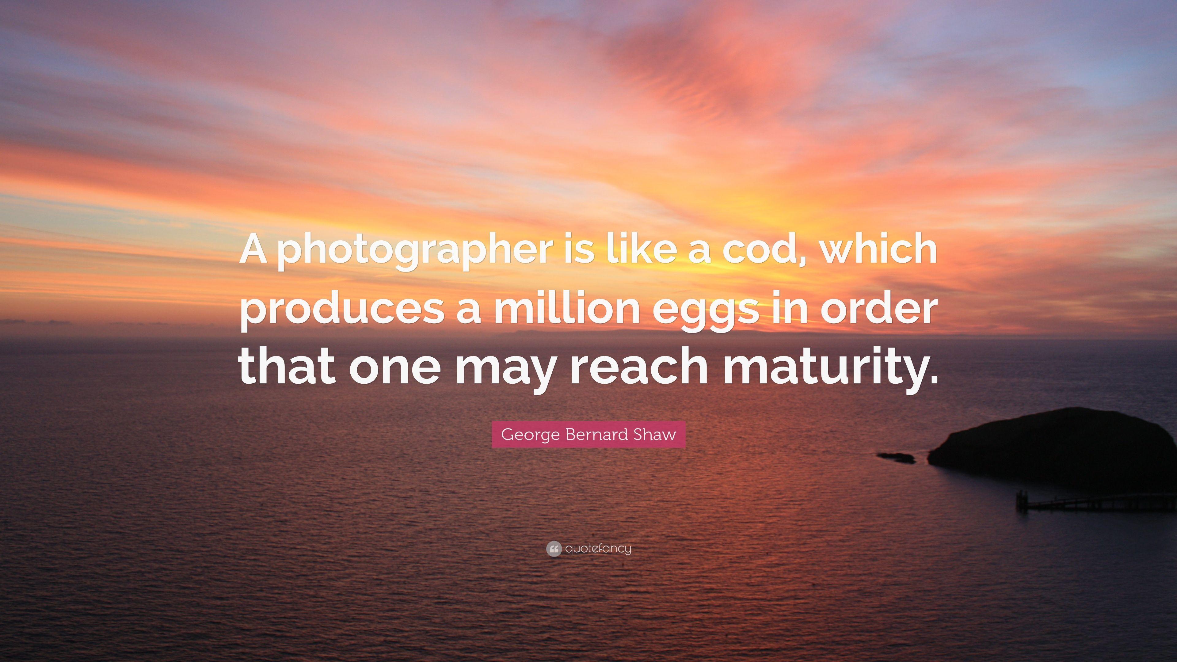 Photography Quotes (22 wallpaper)
