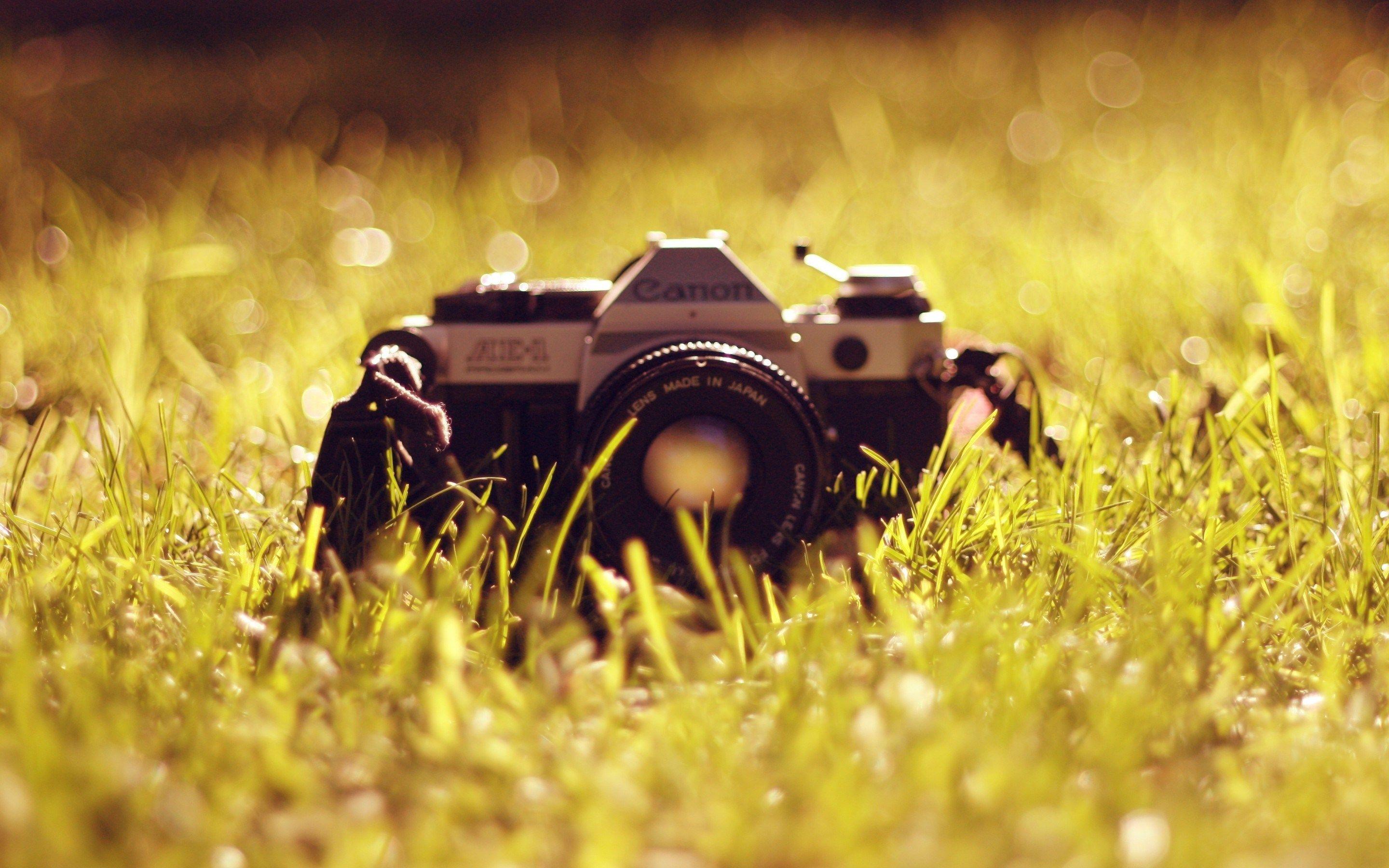 Classic camera canon on green grass taken on picture