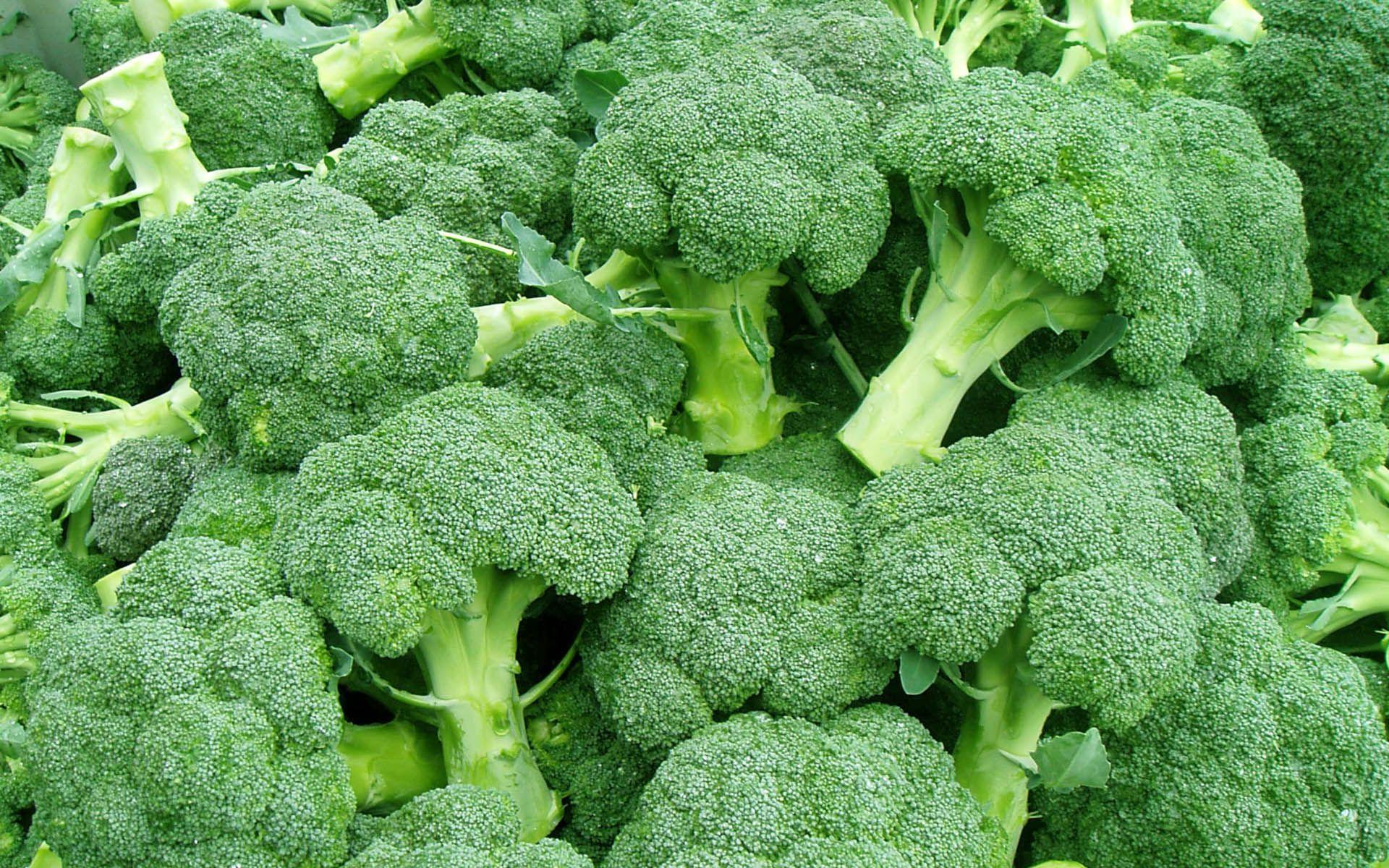 HD desktop wallpaper: Food, Broccoli download free picture #726051