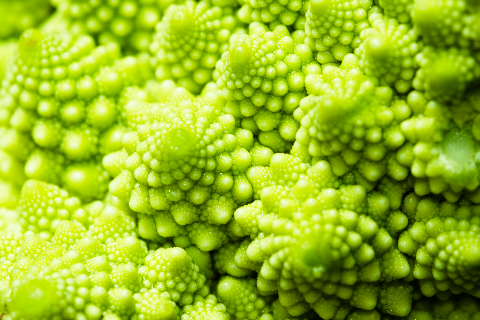 Broccoli Wallpapers - Wallpaper Cave