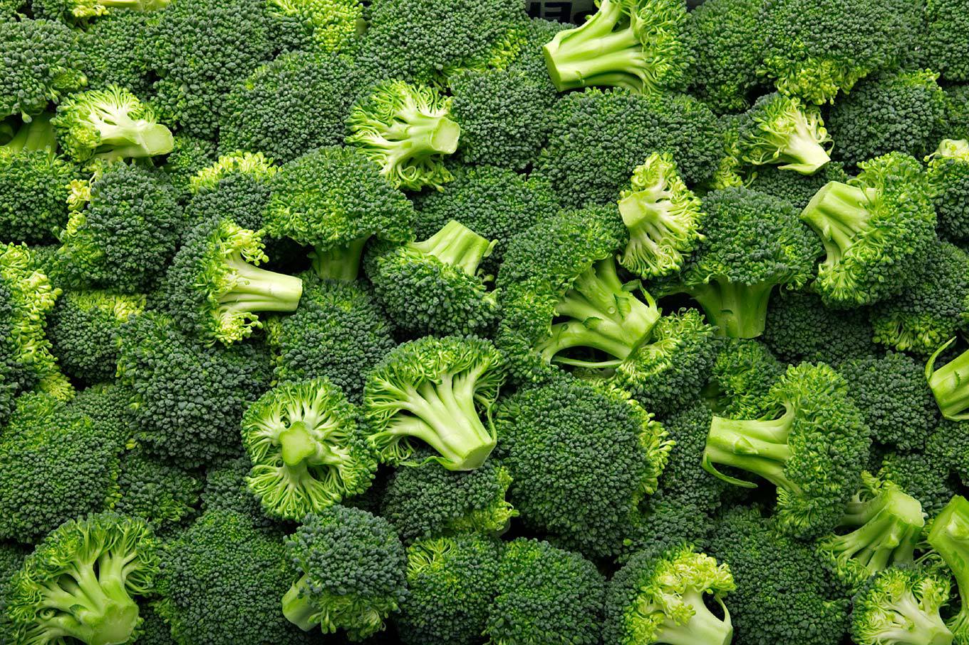Broccoli Wallpaper Image Photo Picture Background