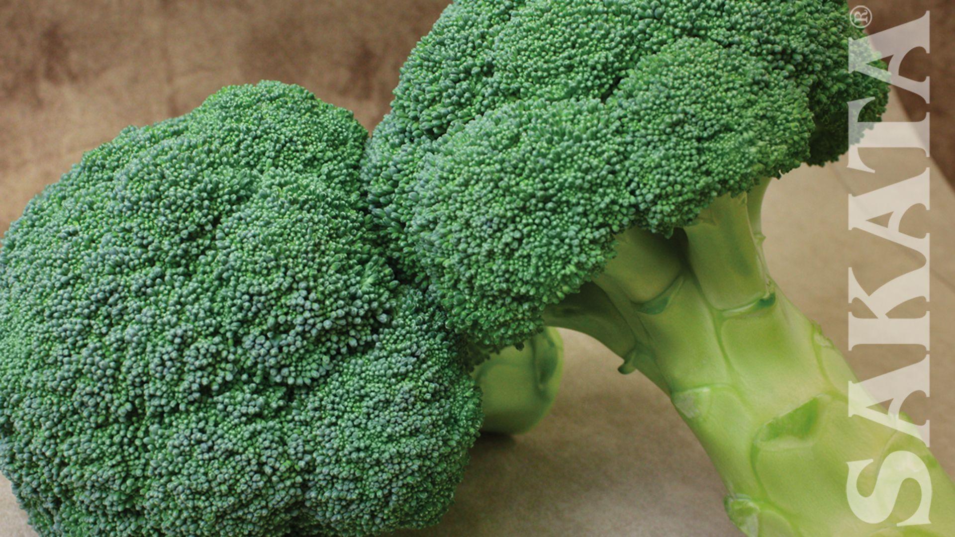 Broccoli Wallpapers - Wallpaper Cave