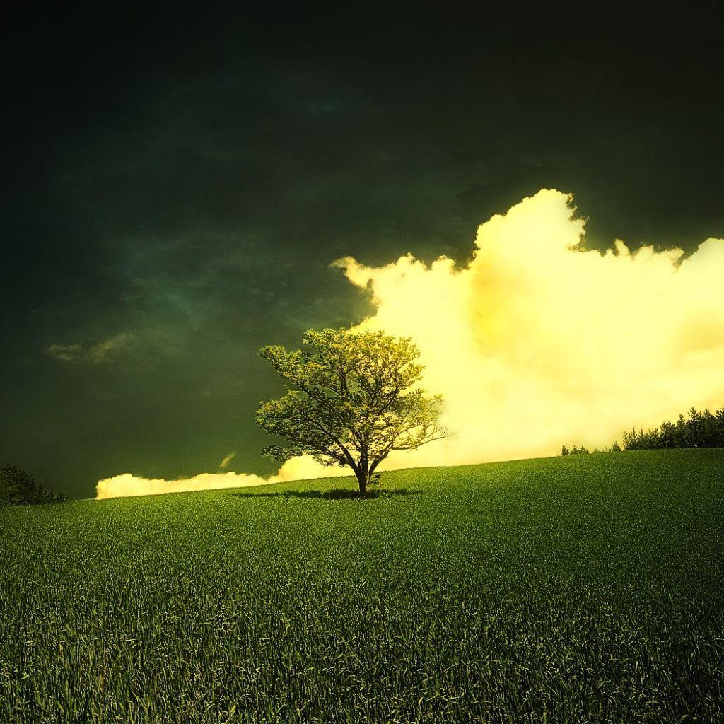 Nature Abstract Wallpapers - Wallpaper Cave